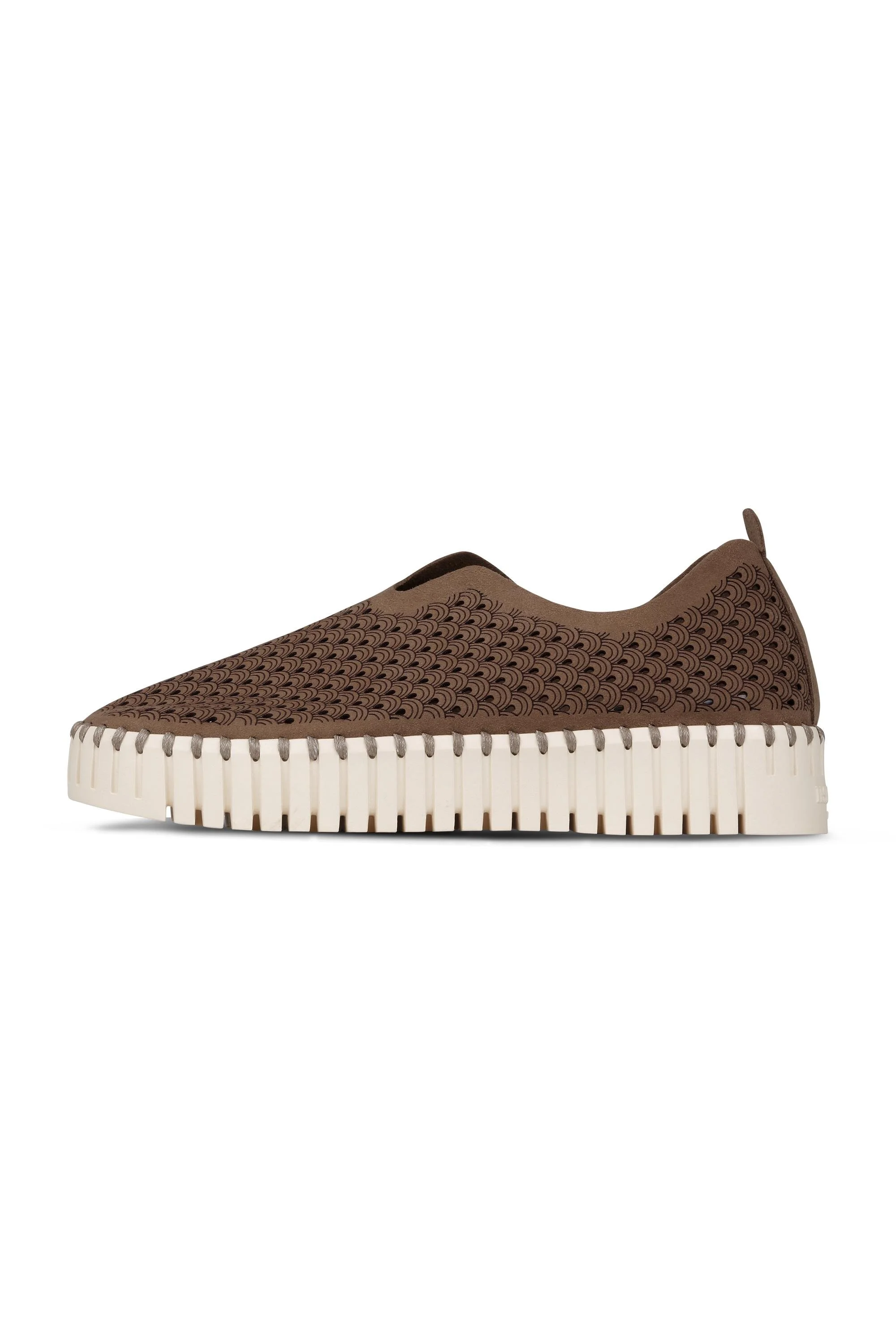 TULIP3373-248€F_510-full_jpg (1) (2).jpg