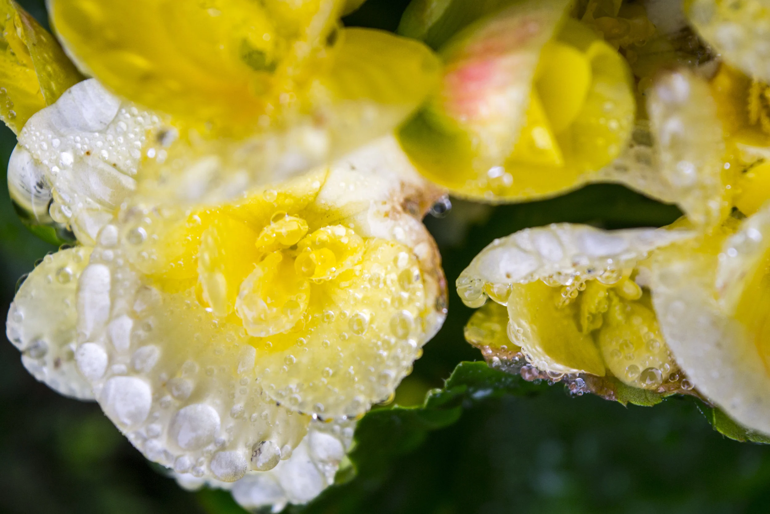 Light and Shadow_2.JPG