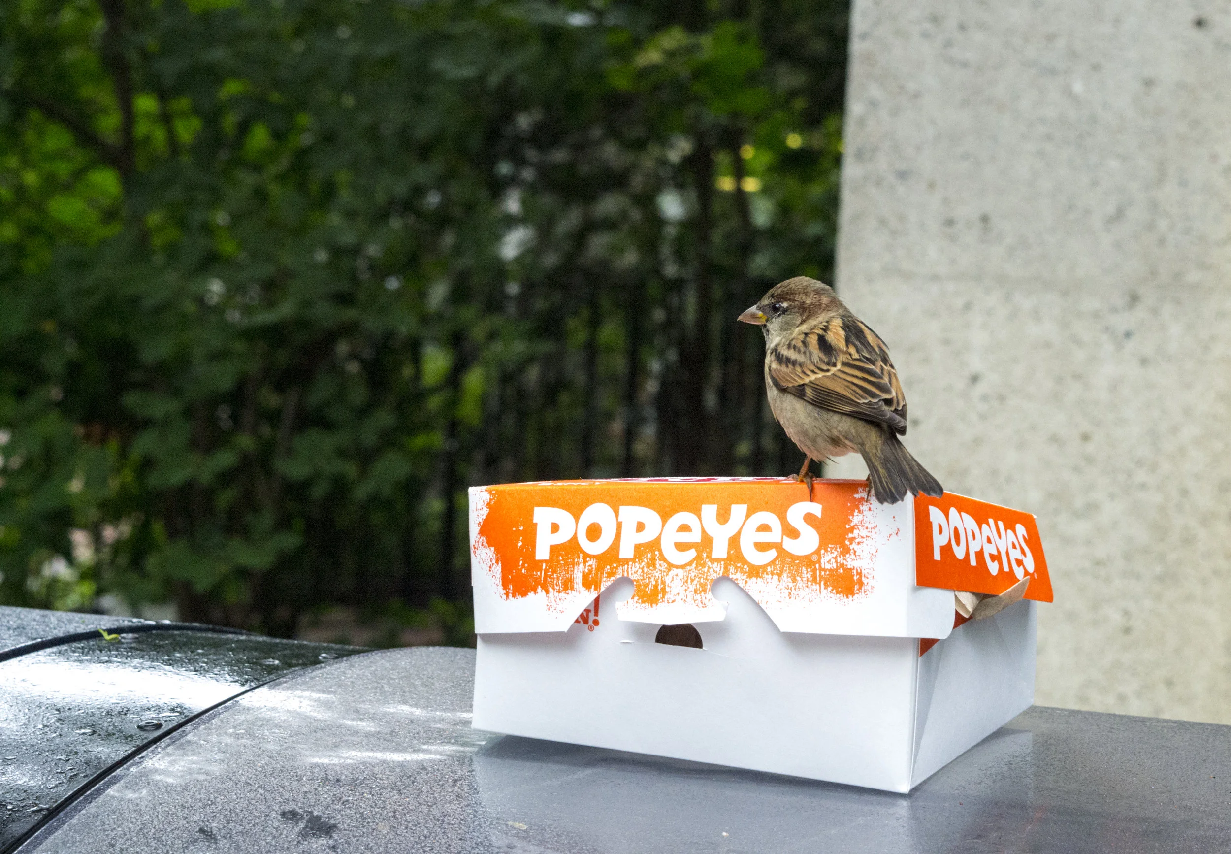 Light and Shadow_1.JPG