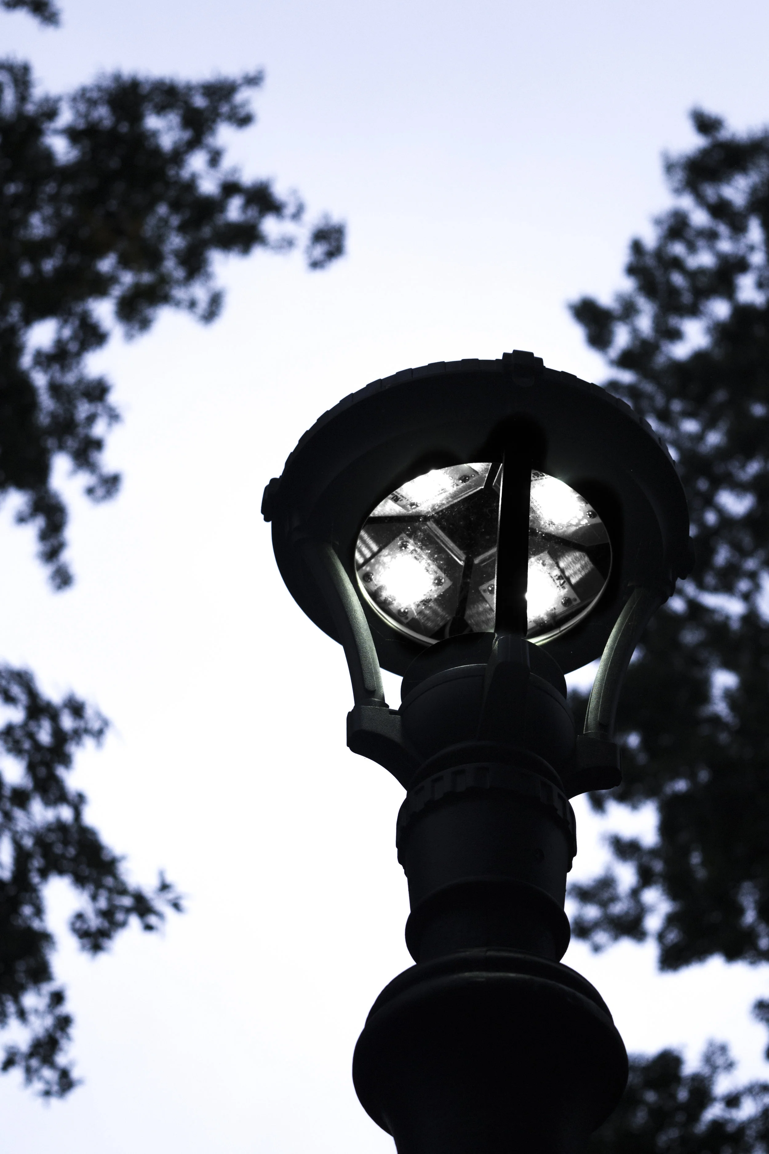 Light and Shadow_3.JPG