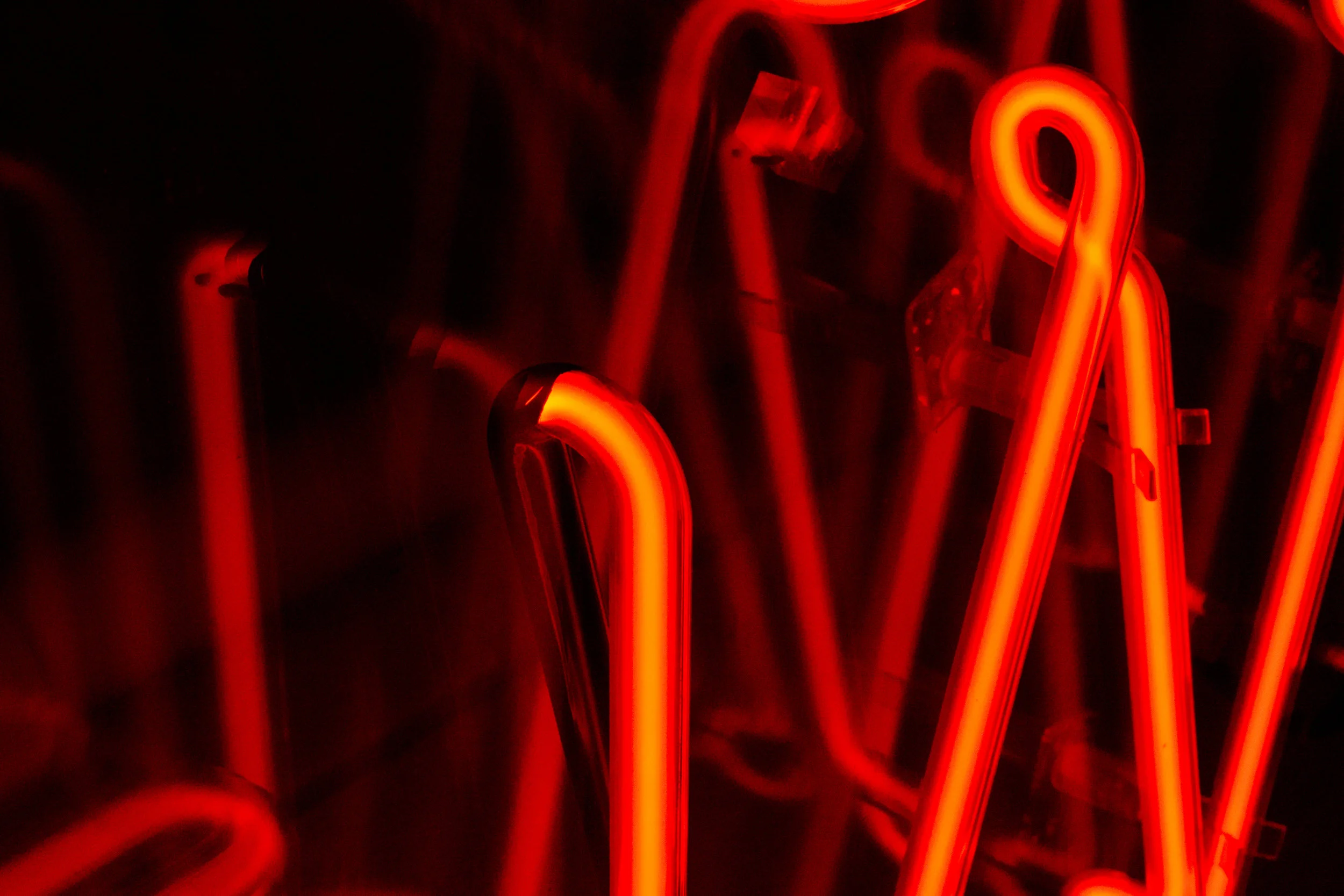 Light and Shadow.JPG