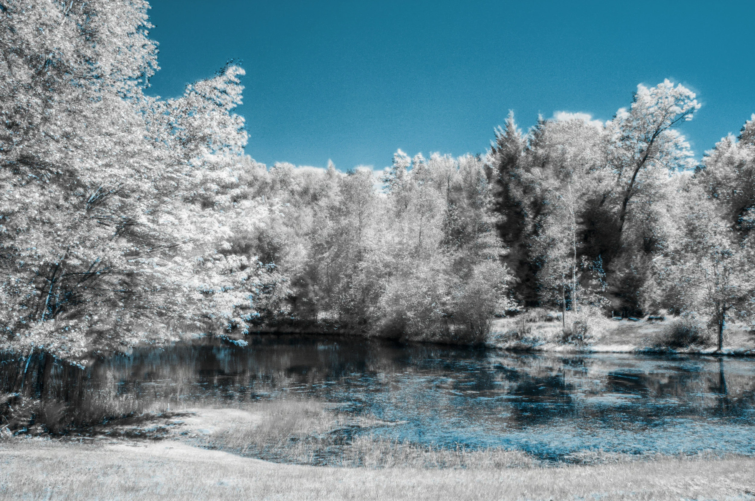 Pond Cyan.JPG