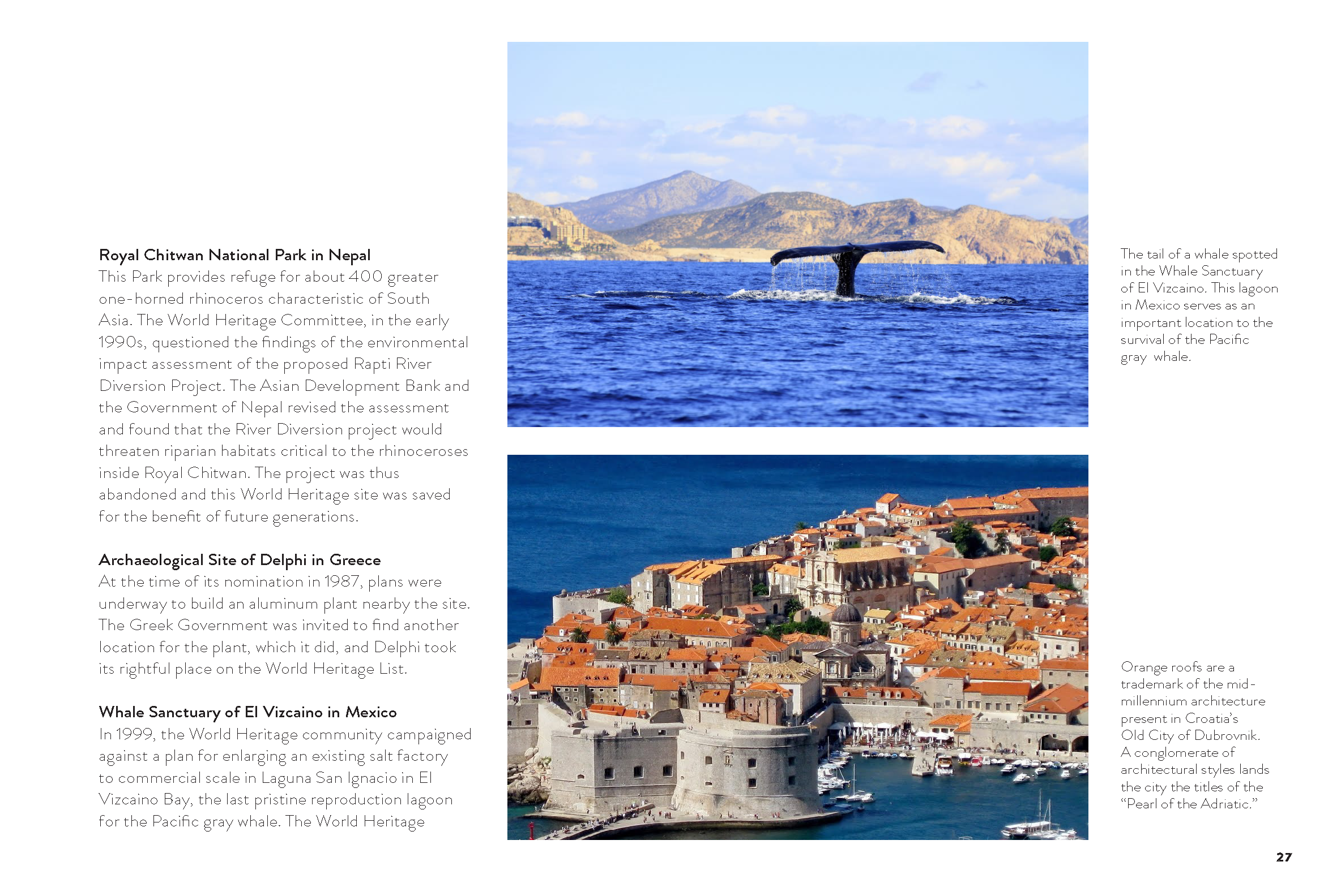 Connor Tripp Booklet_Page_27.png