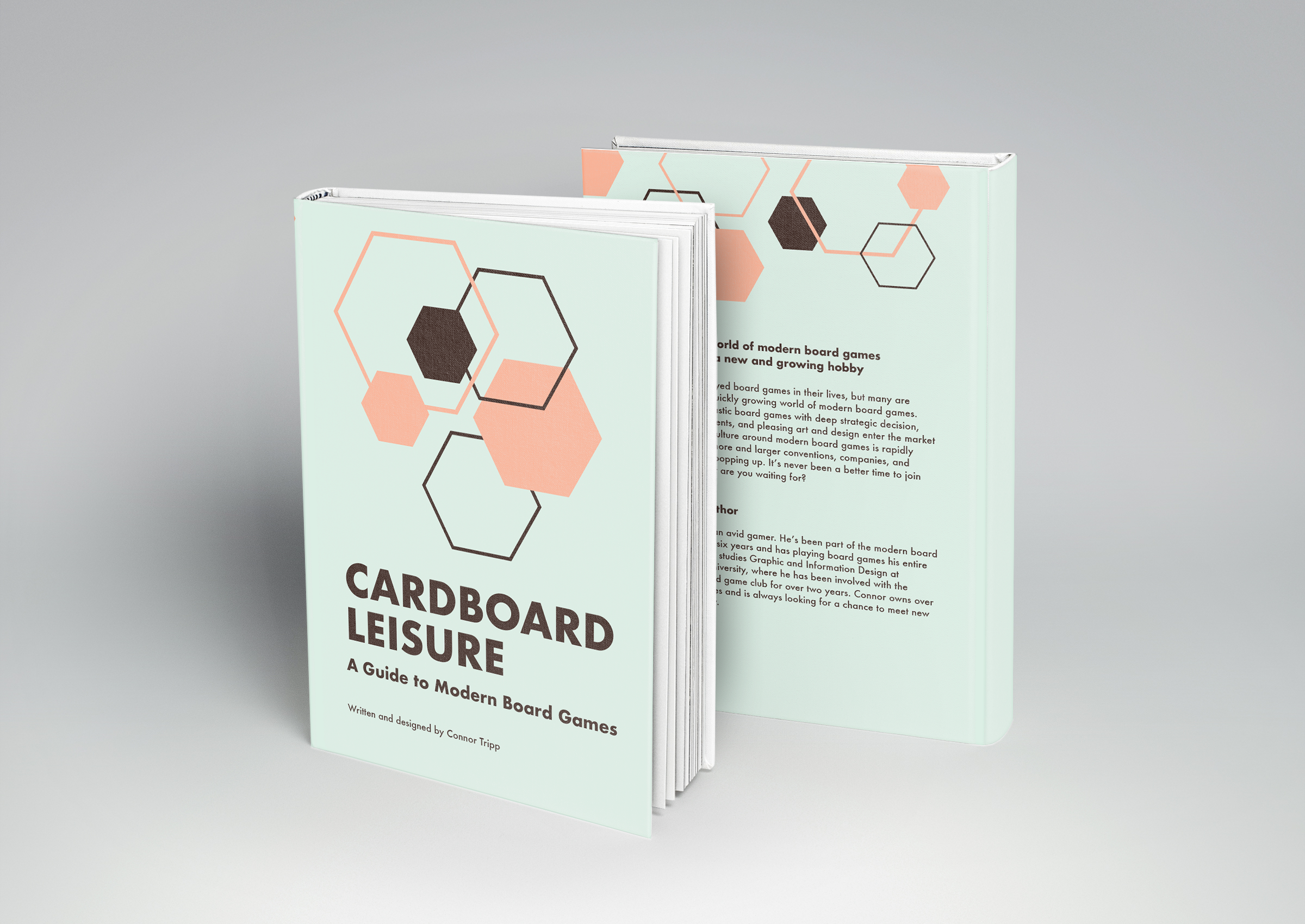 Cover for Cardboard Leisure: A Guide to Modern Board Games
