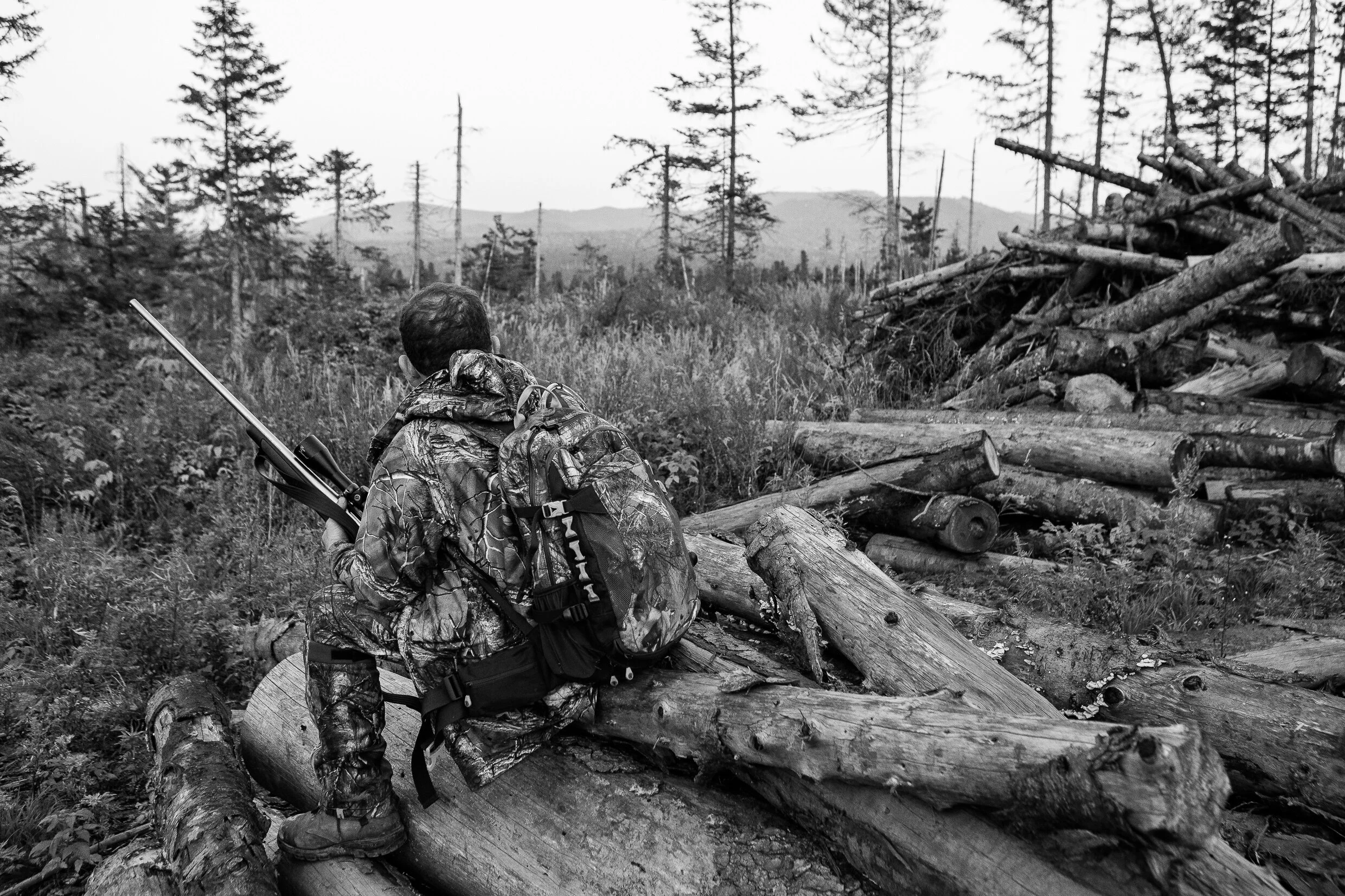 SVHP-393.jpg