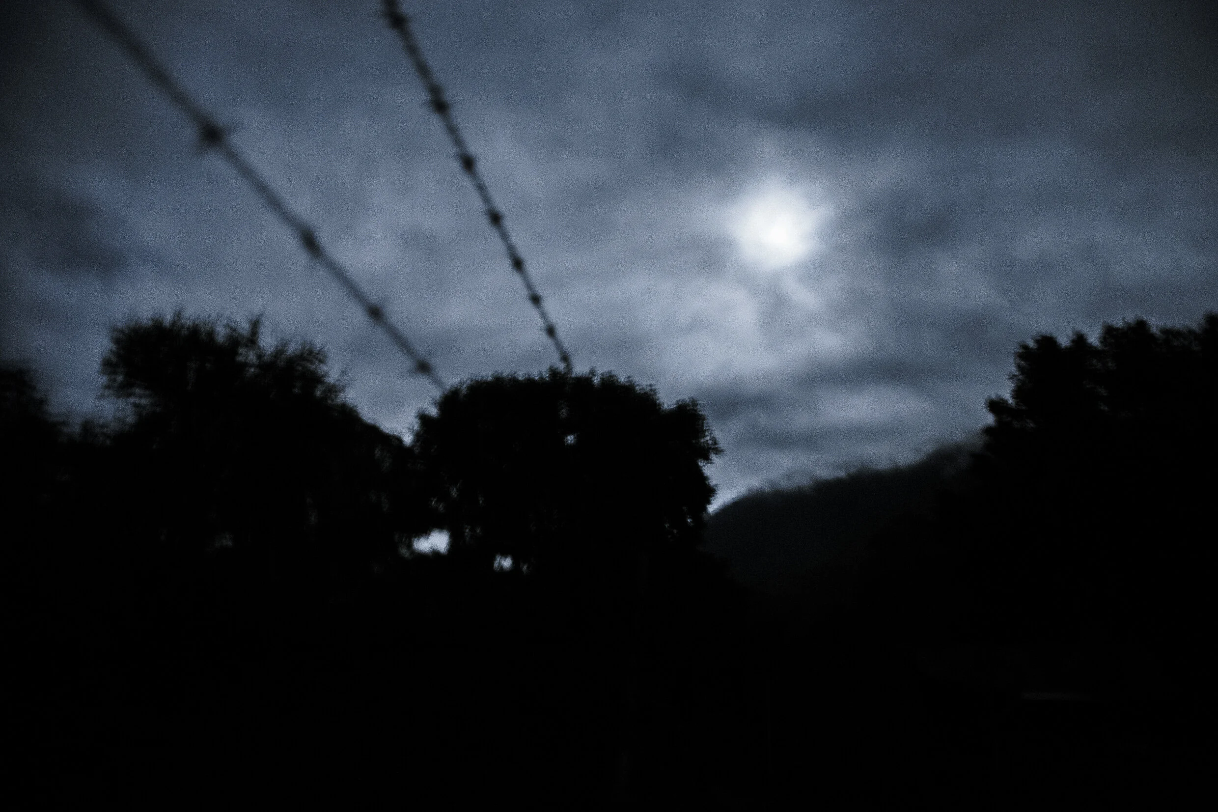 3P3A4856.jpg