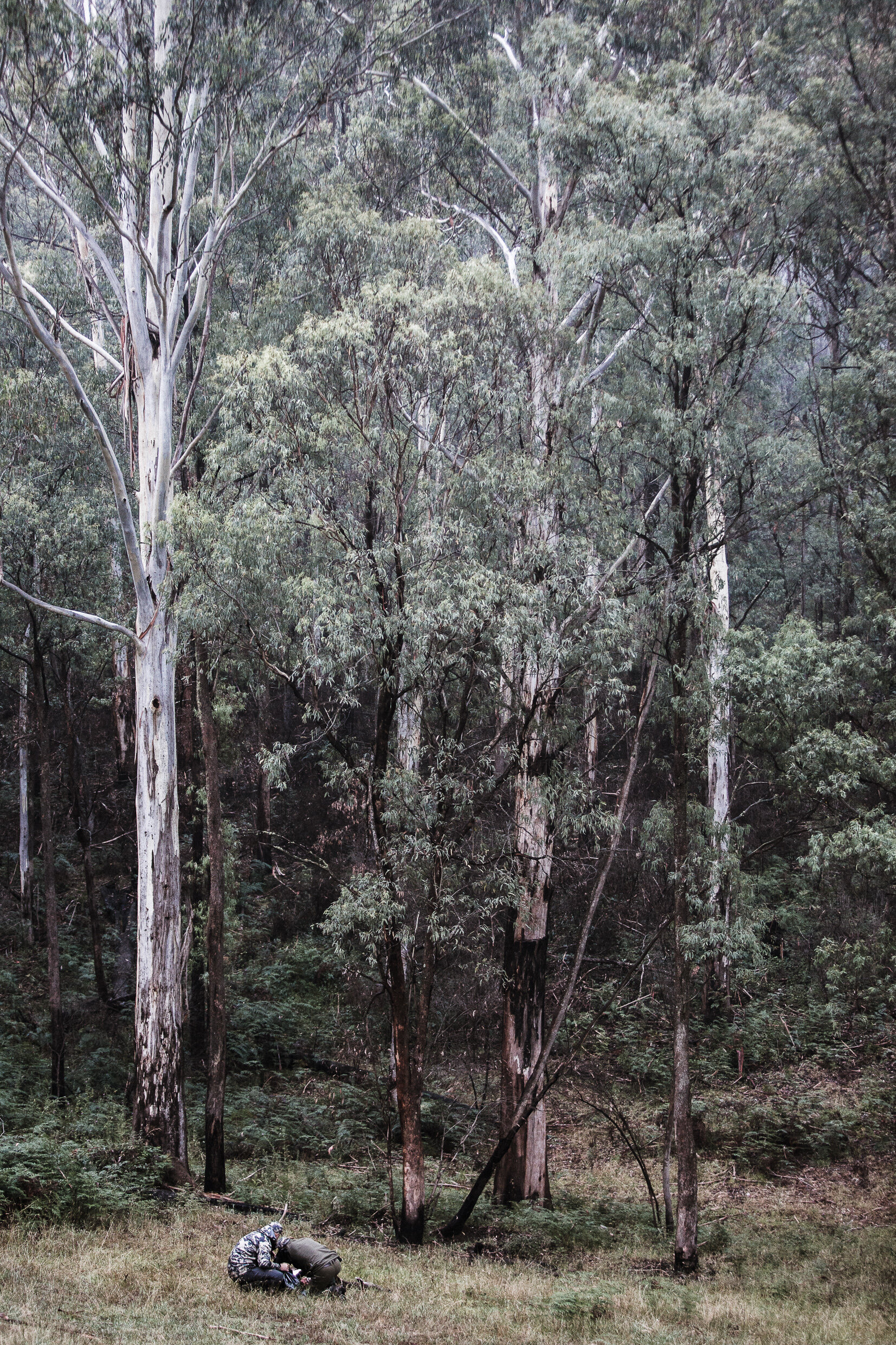 3P3A5101.jpg