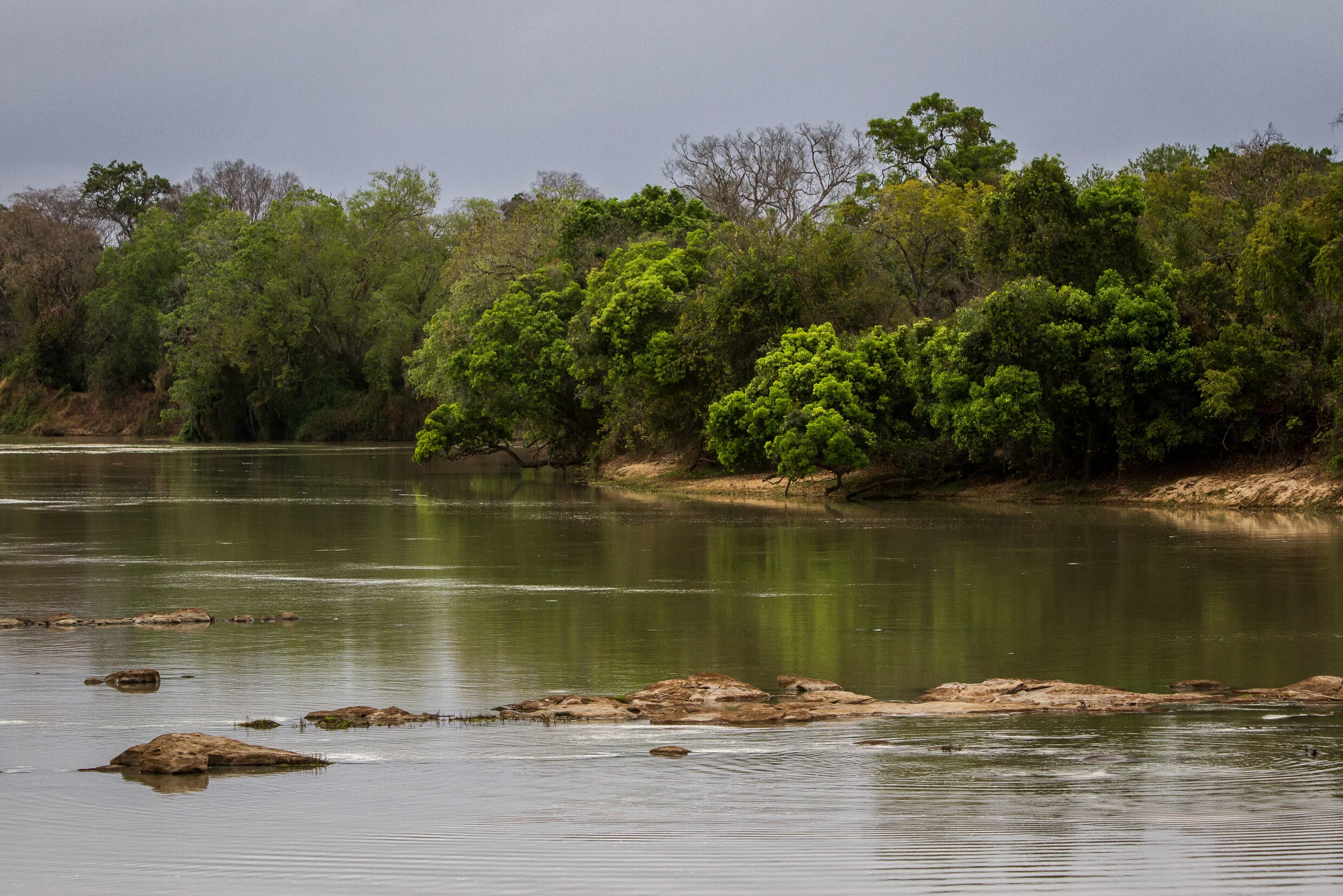 SELOUS-36.jpg