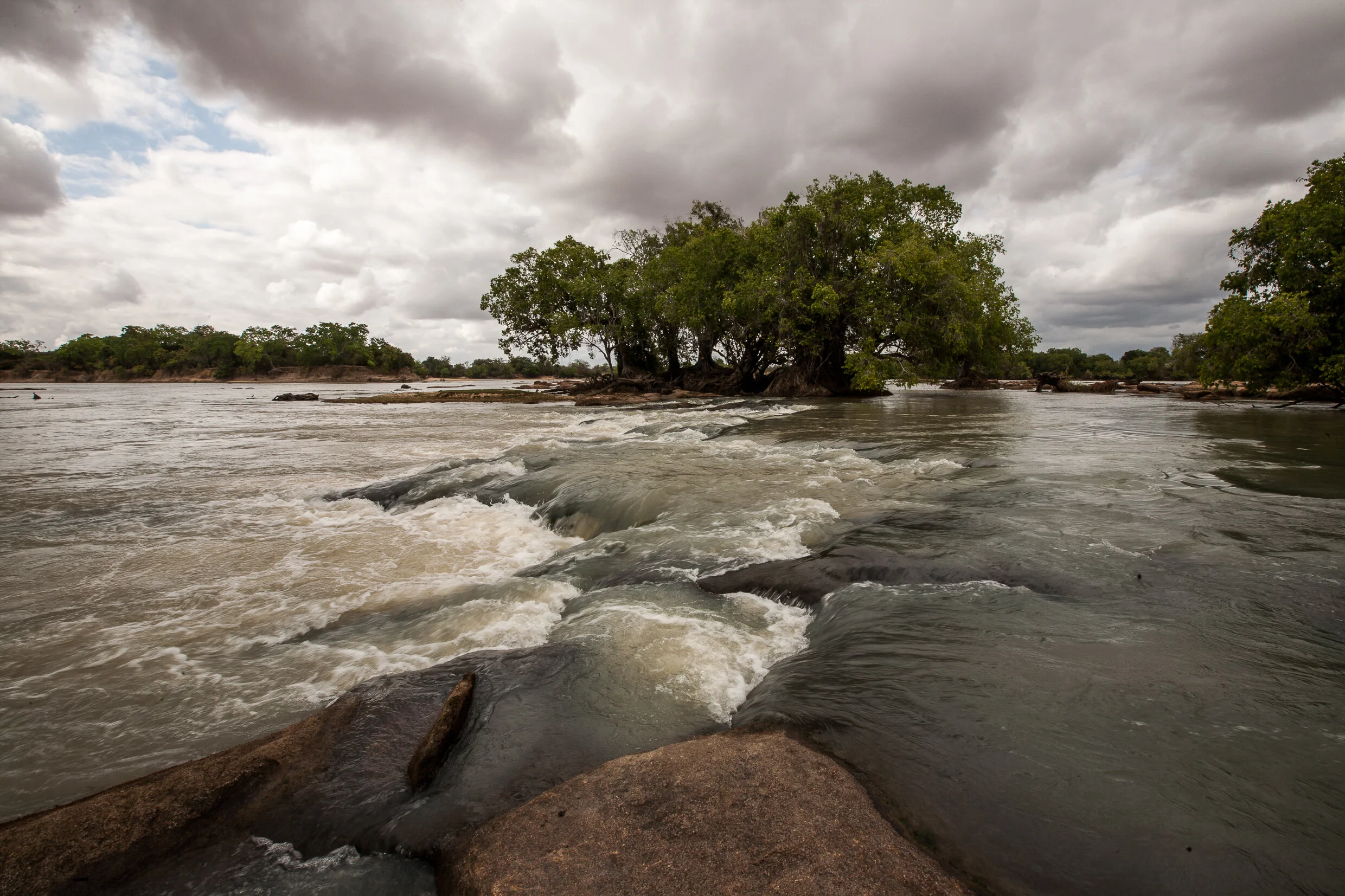 SELOUS-51.jpg