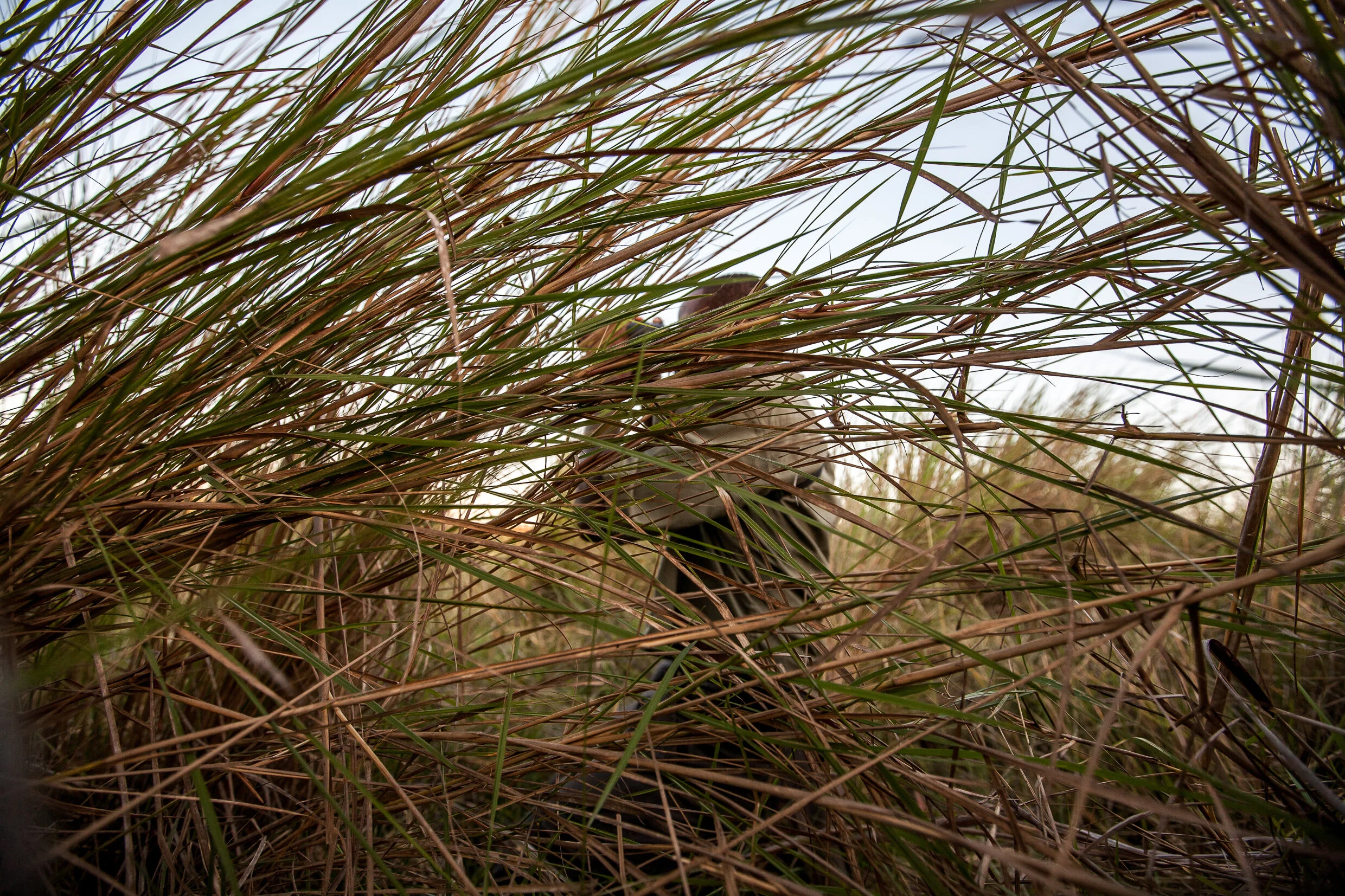 SELOUS-103.jpg