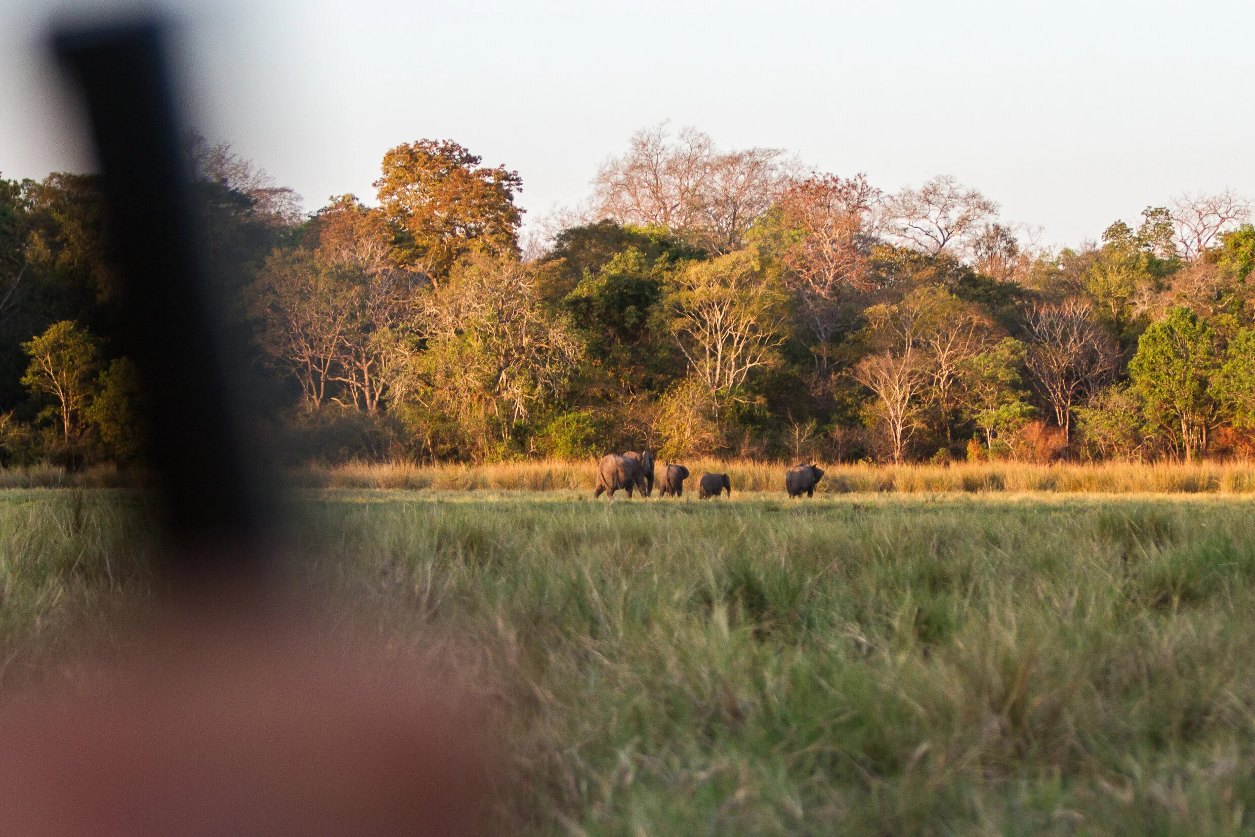 SELOUS-111.jpg