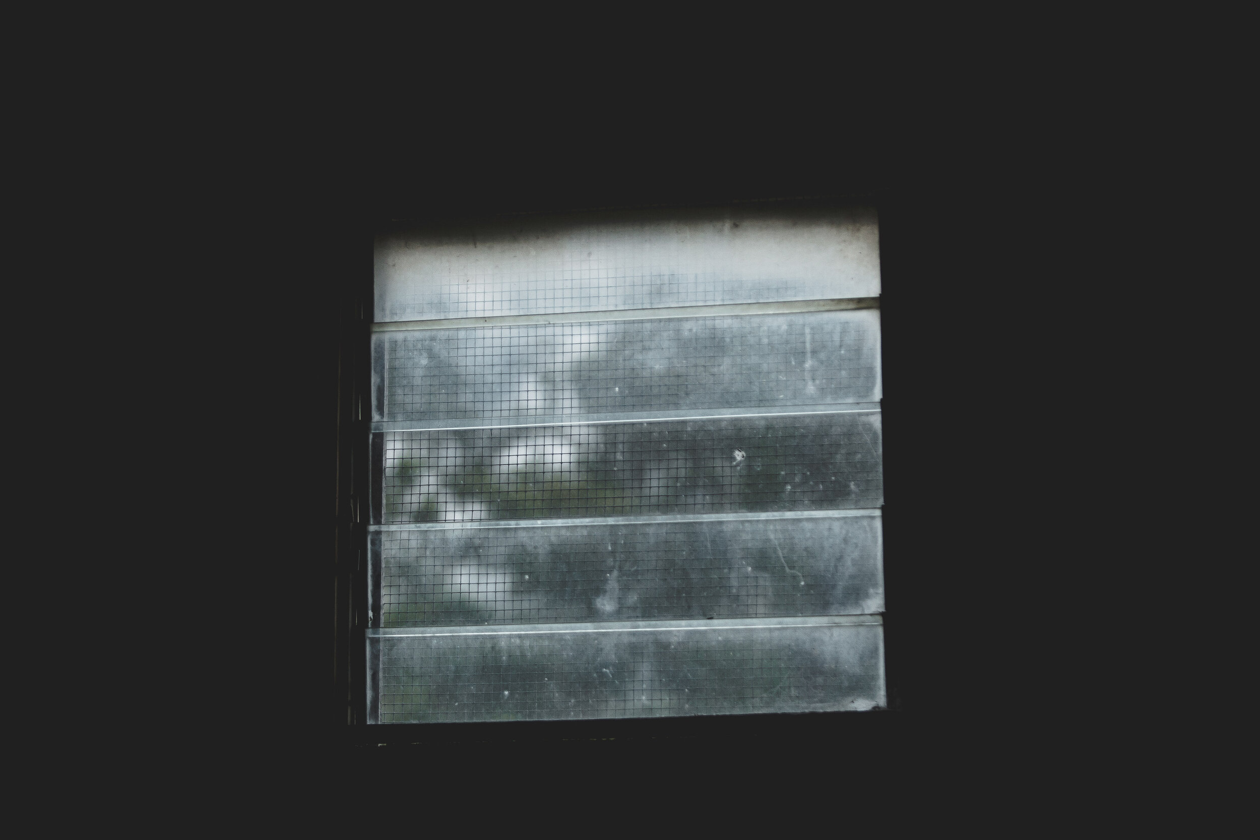 6D9B0307.jpg