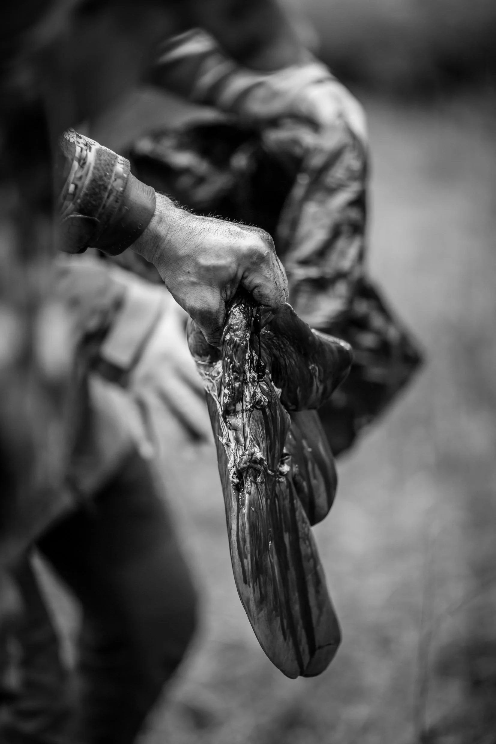STOCK-102.jpg