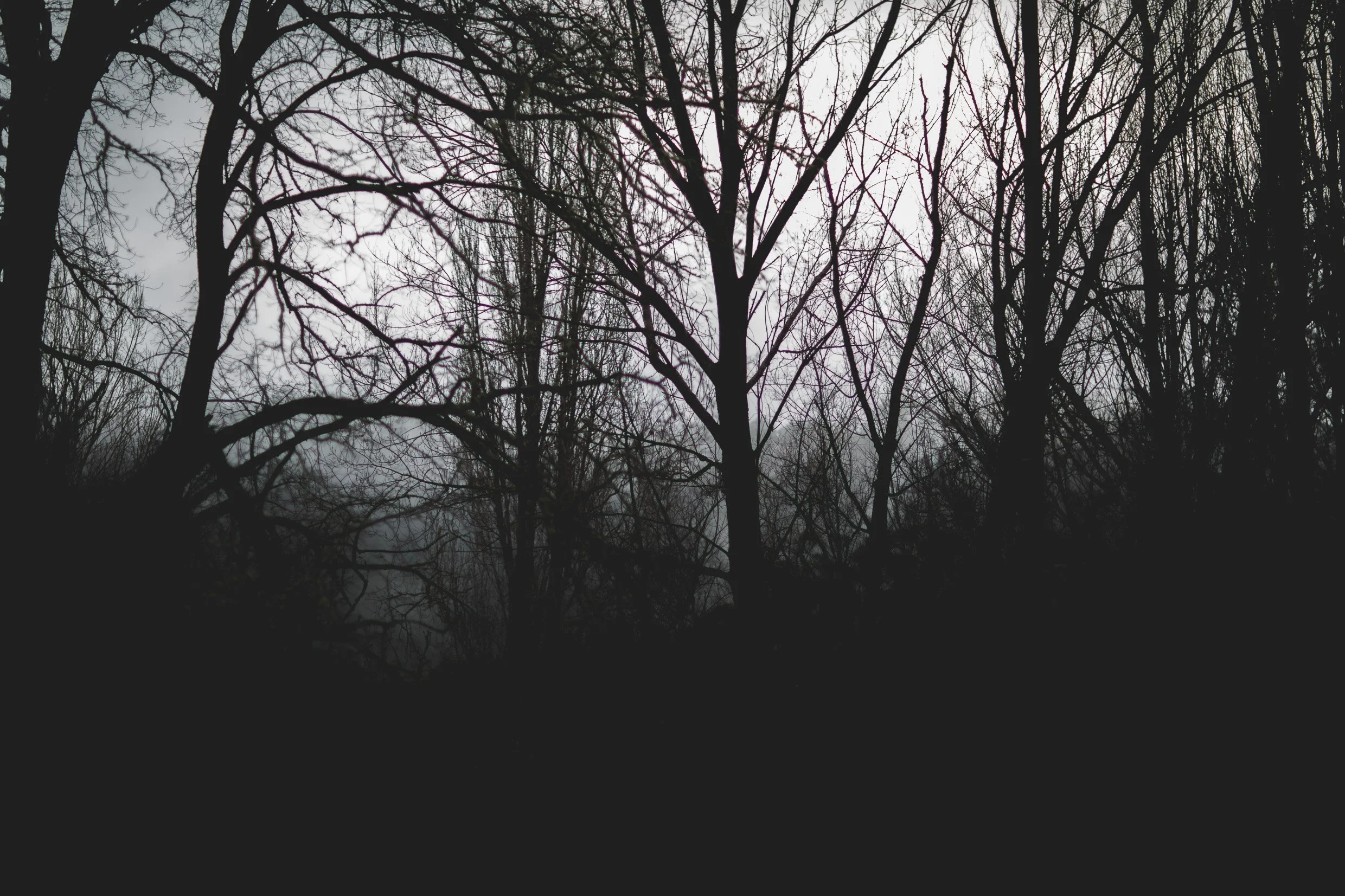 6D9B0350.jpg