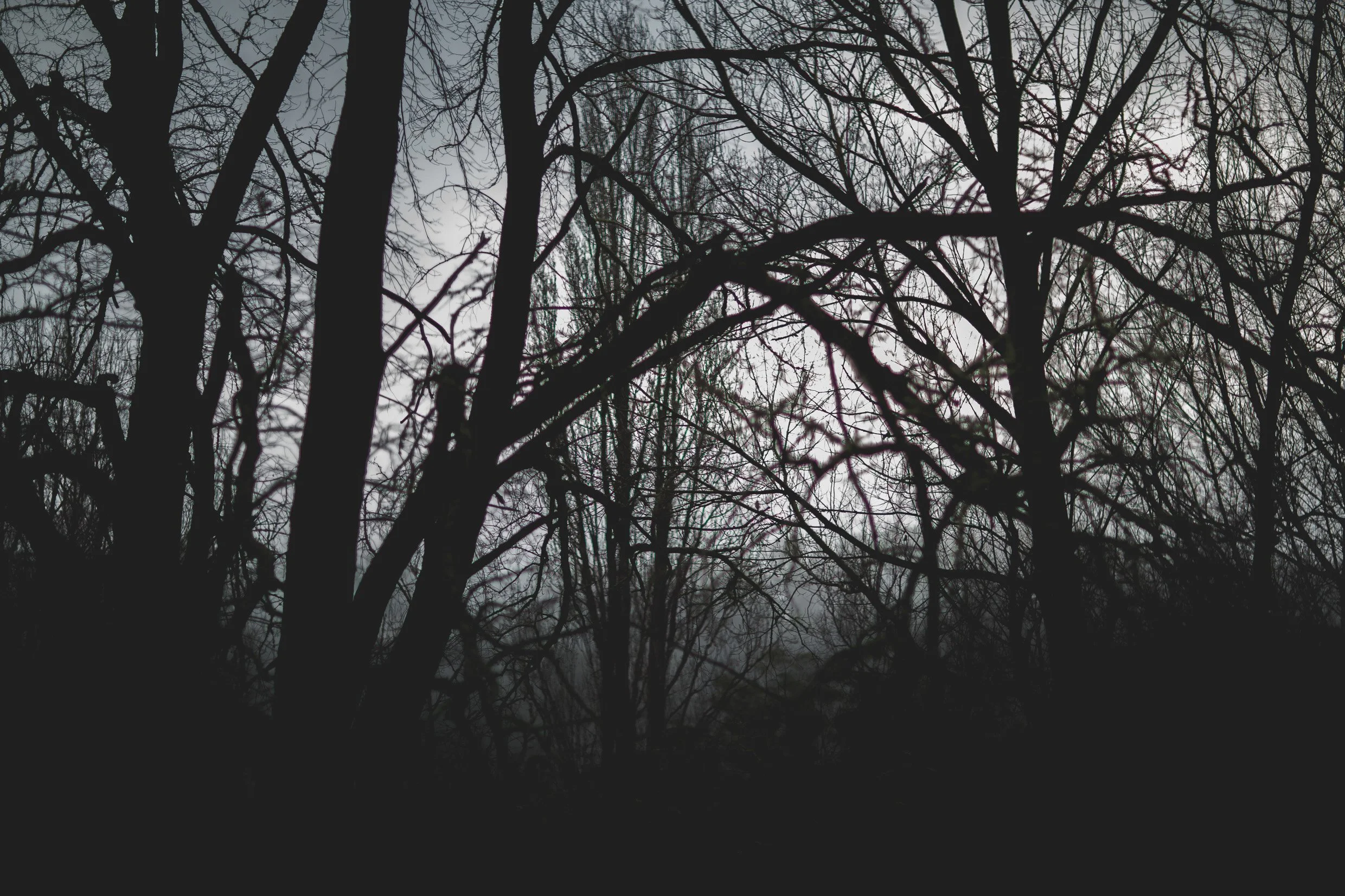 6D9B0359.jpg