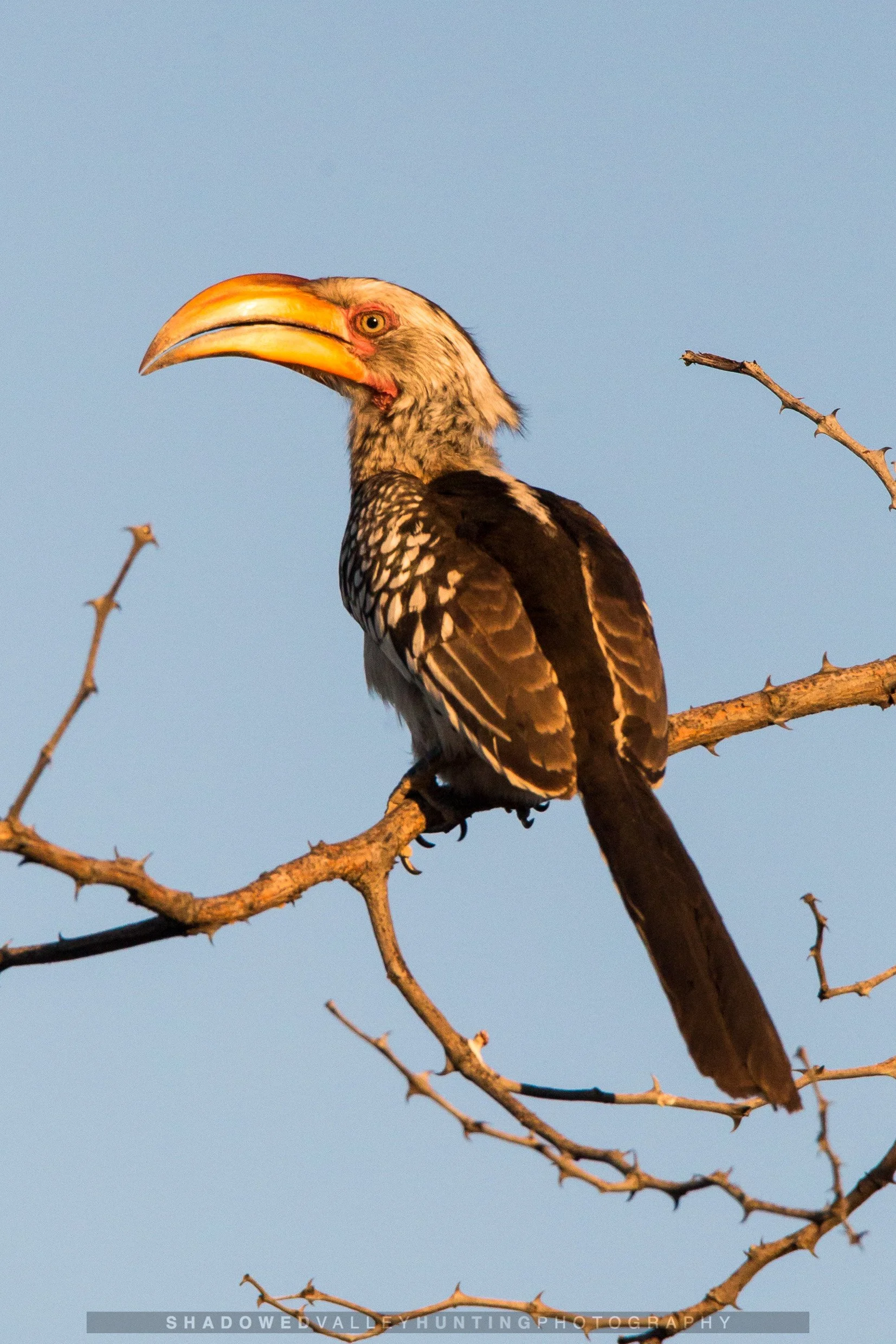 phu-168.jpg
