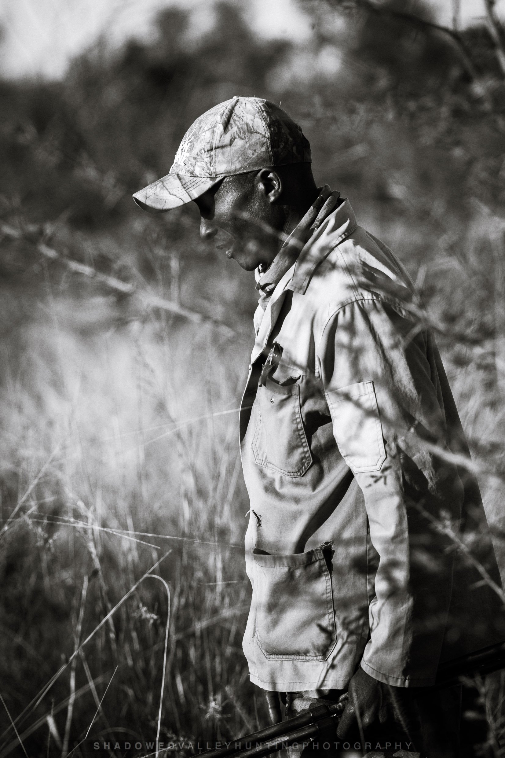 hex-41.jpg
