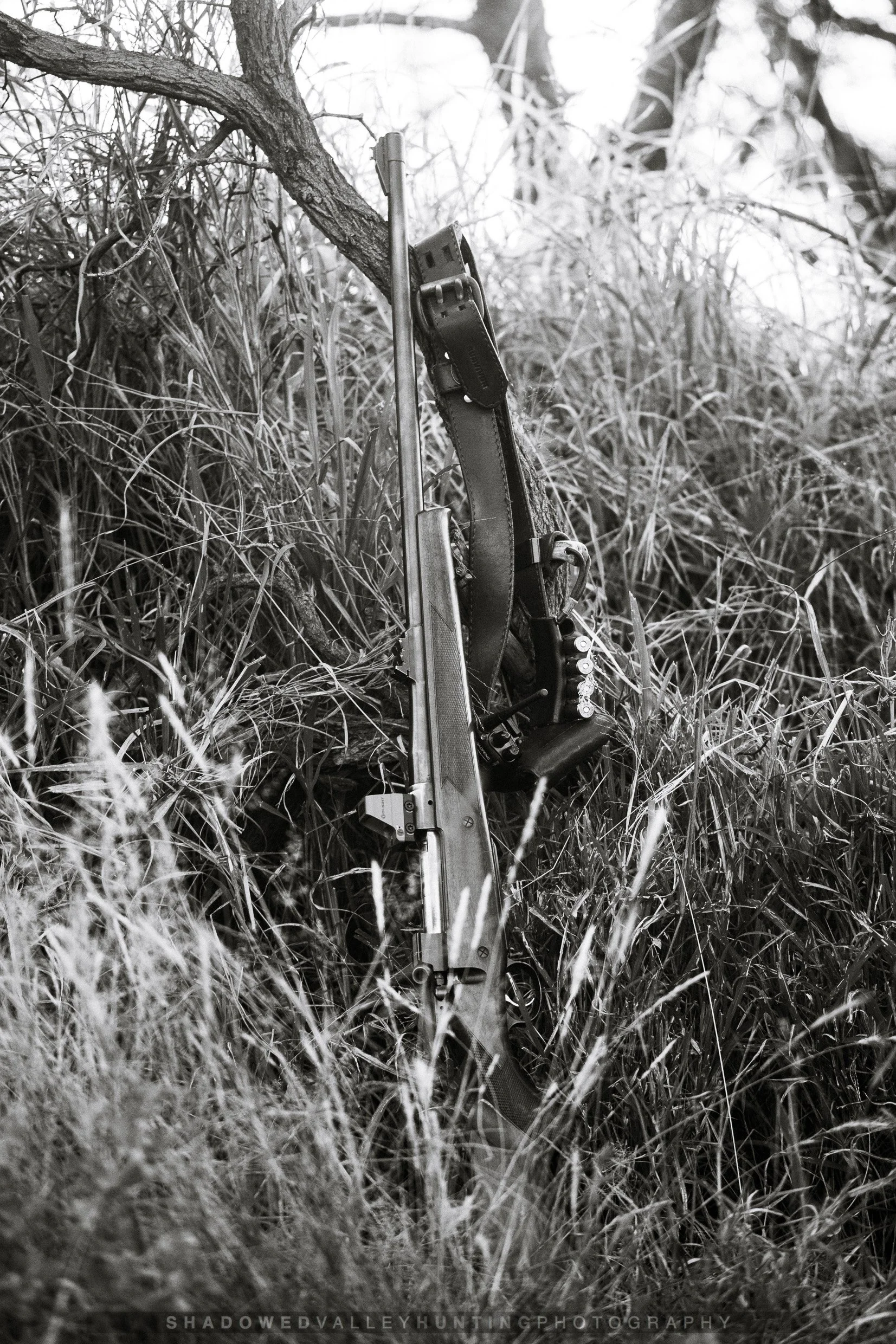 hex-37.jpg