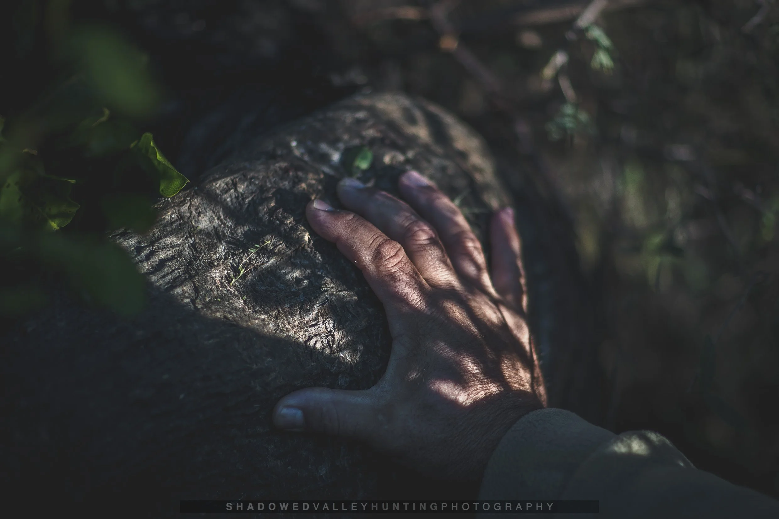 hex-49.jpg