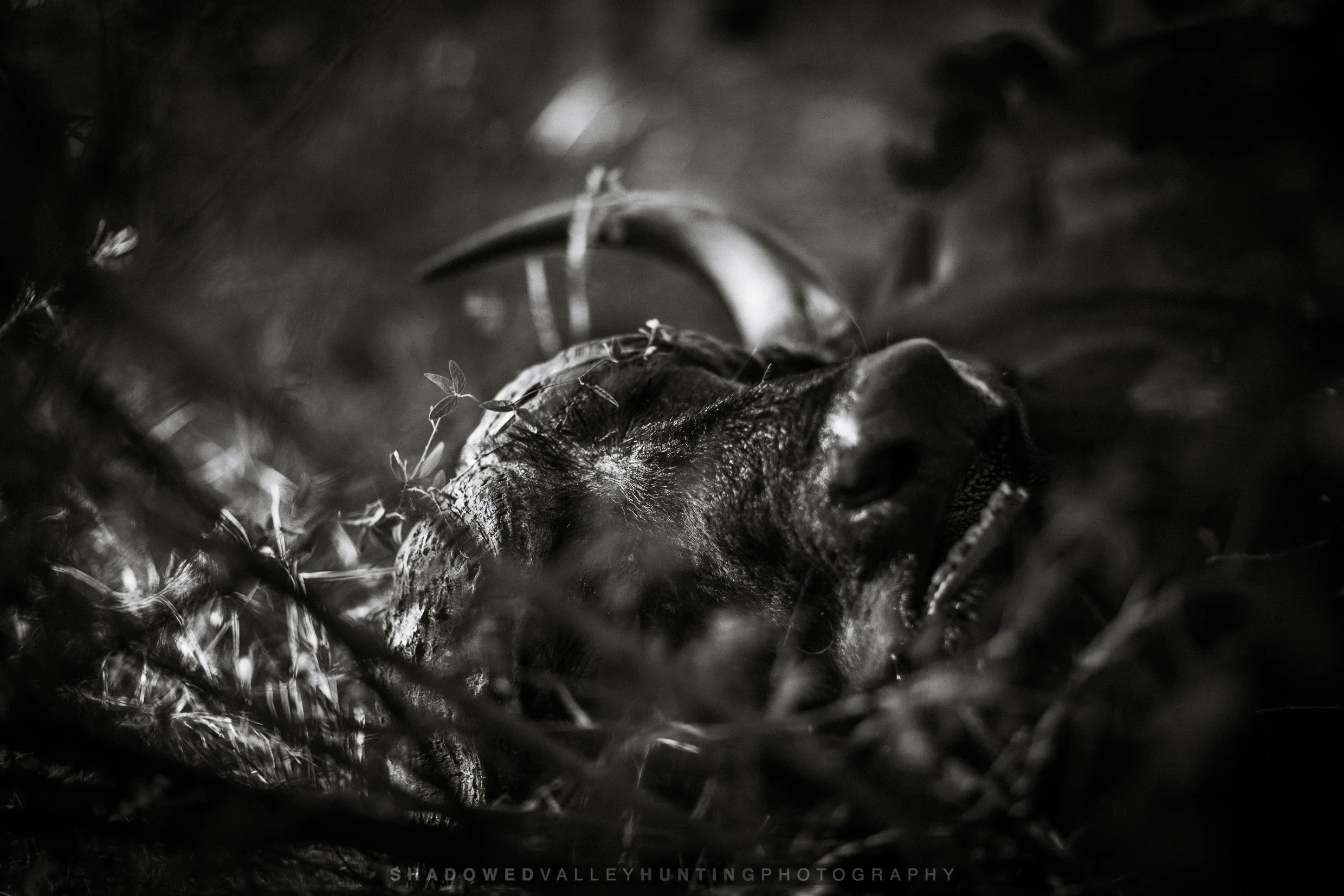 hex-4.jpg