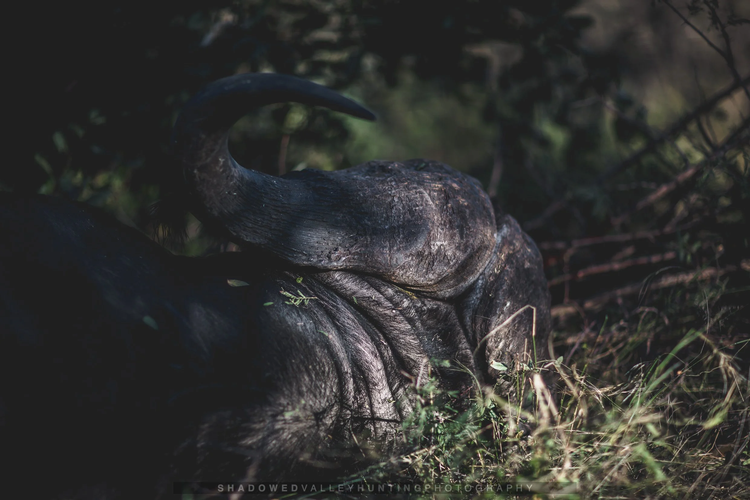 hex-6.jpg