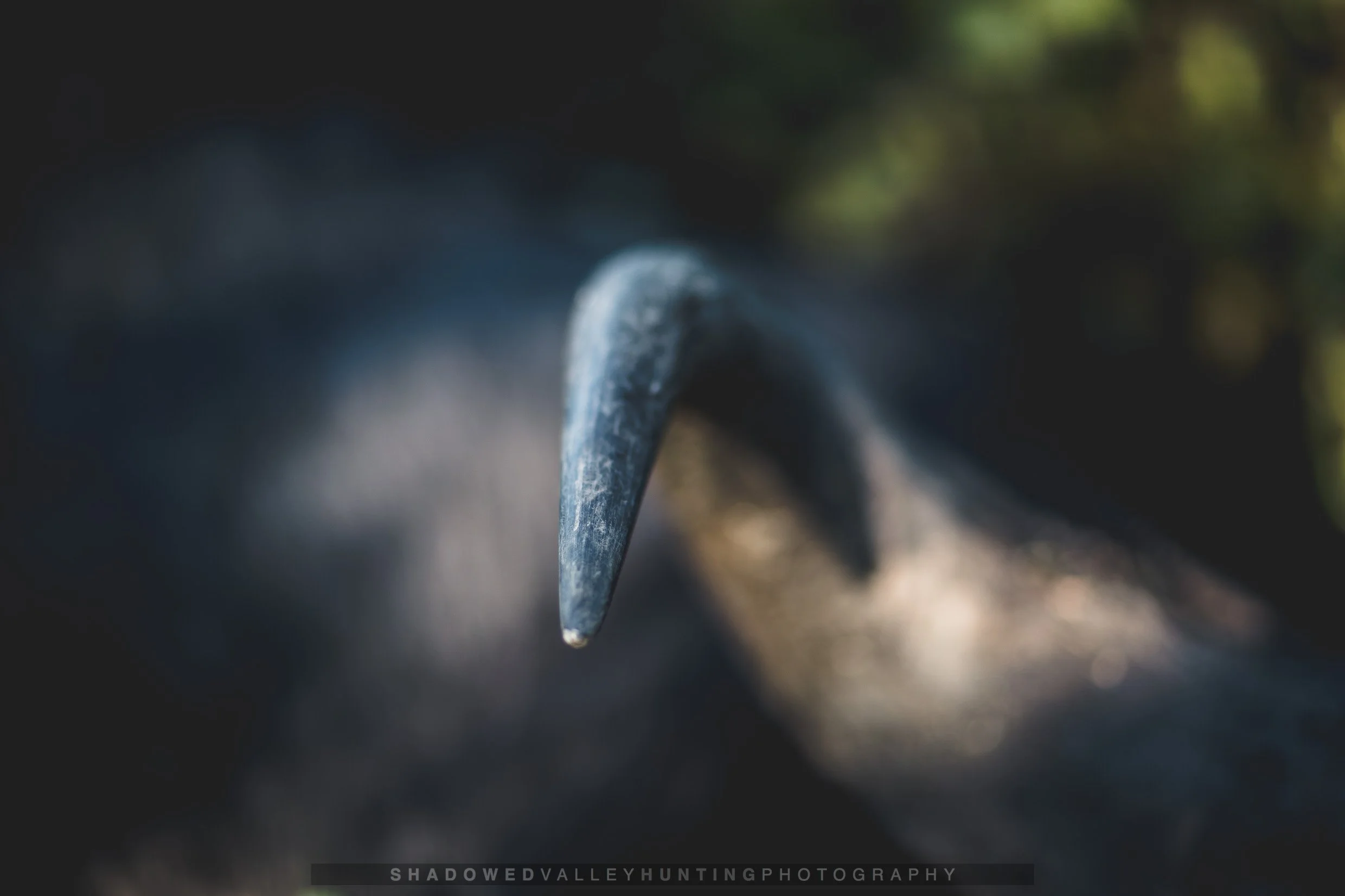hex-7.jpg