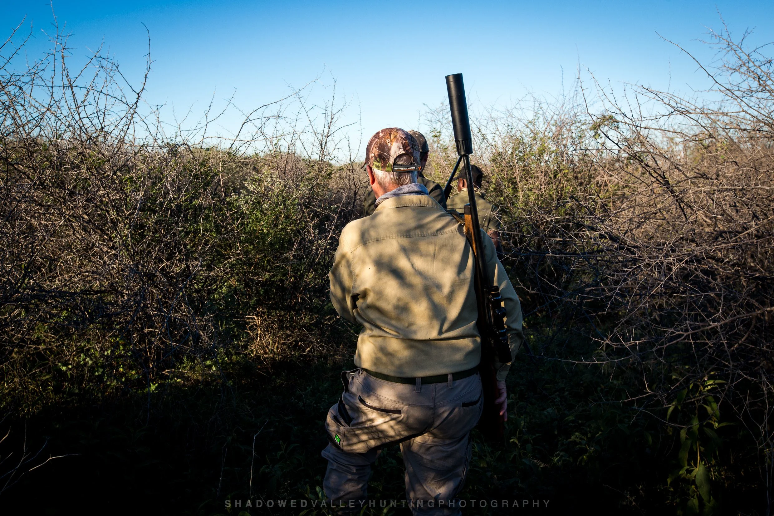 HEX38-7.jpg