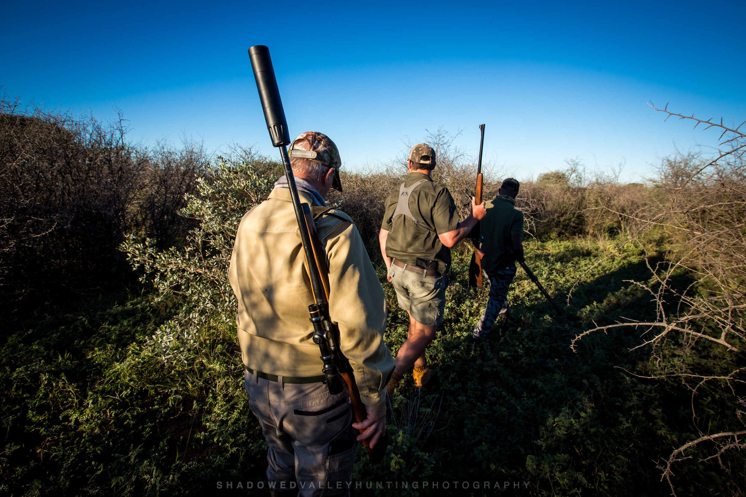 HEX38-8.jpg