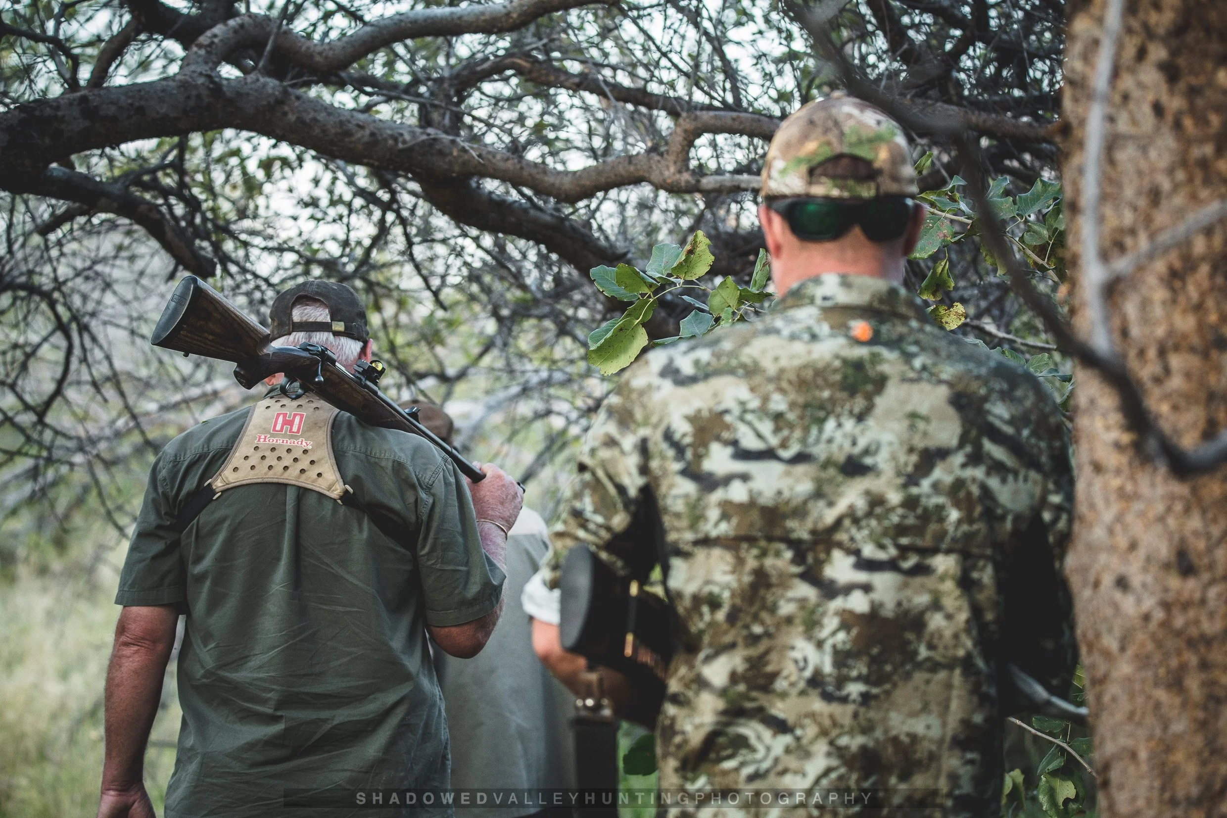 hex-37.jpg