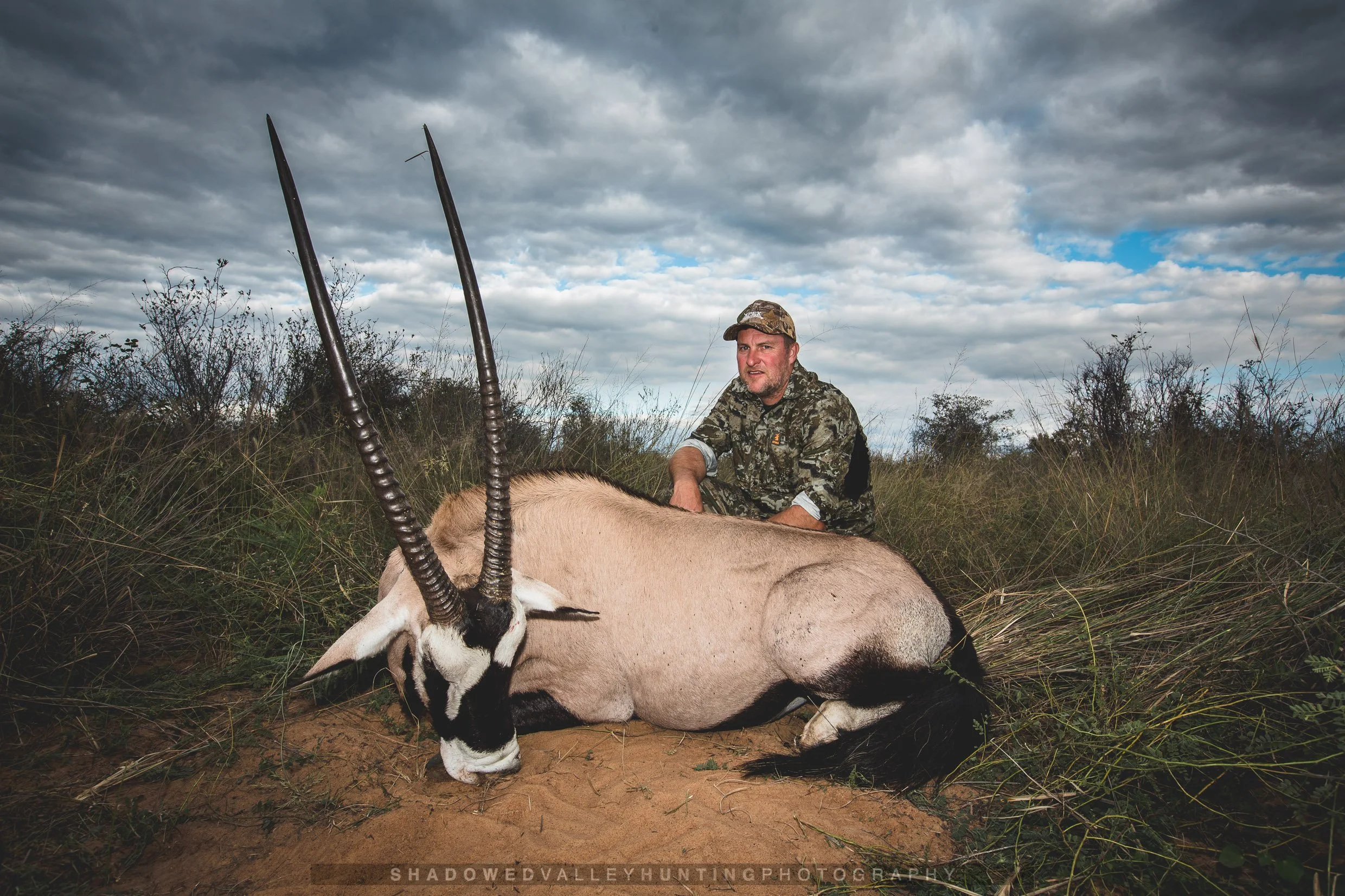 hex38-10.jpg