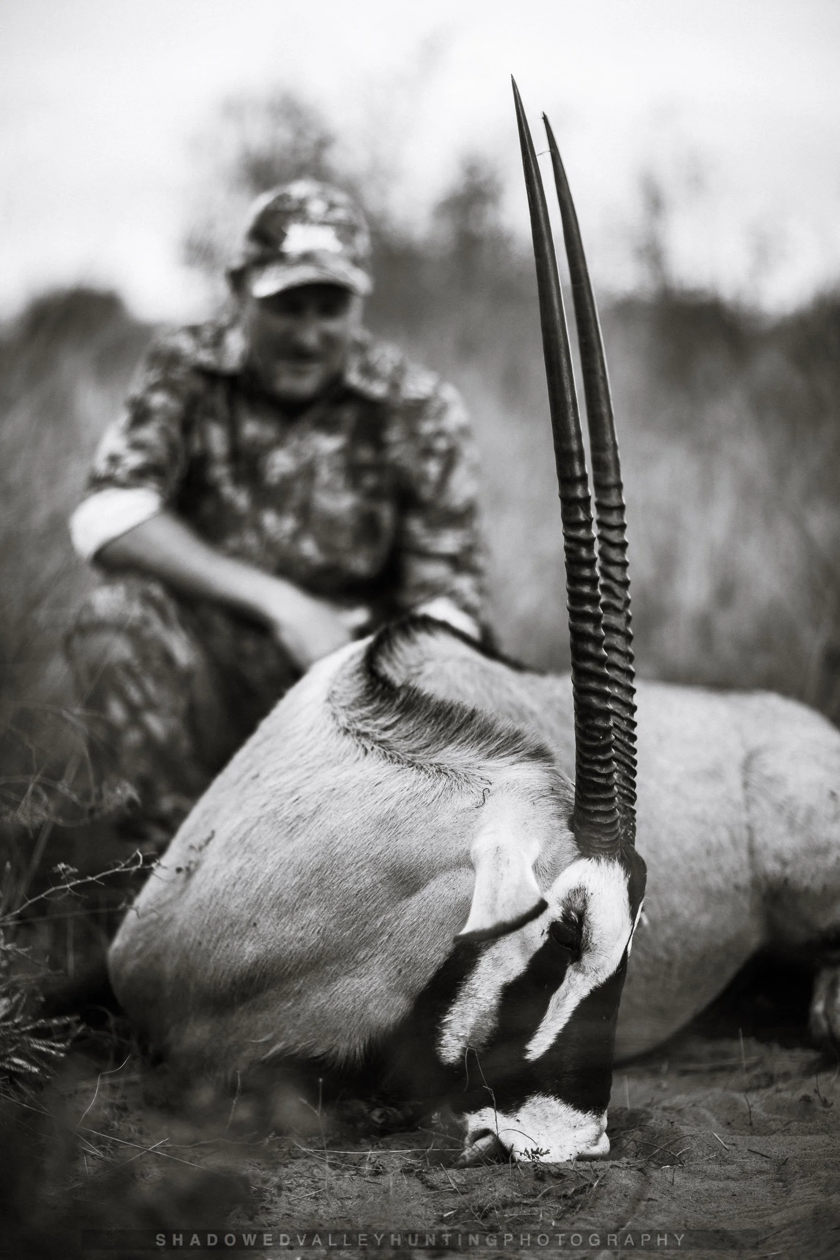 hex38-18.jpg
