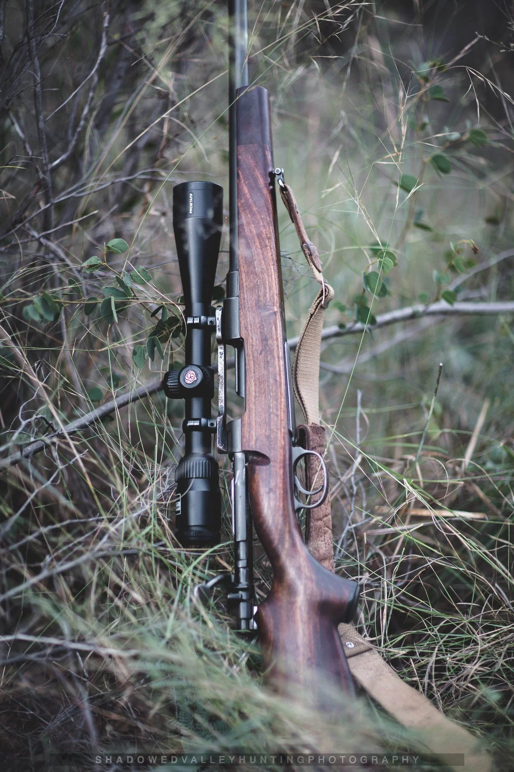 PP-14.jpg