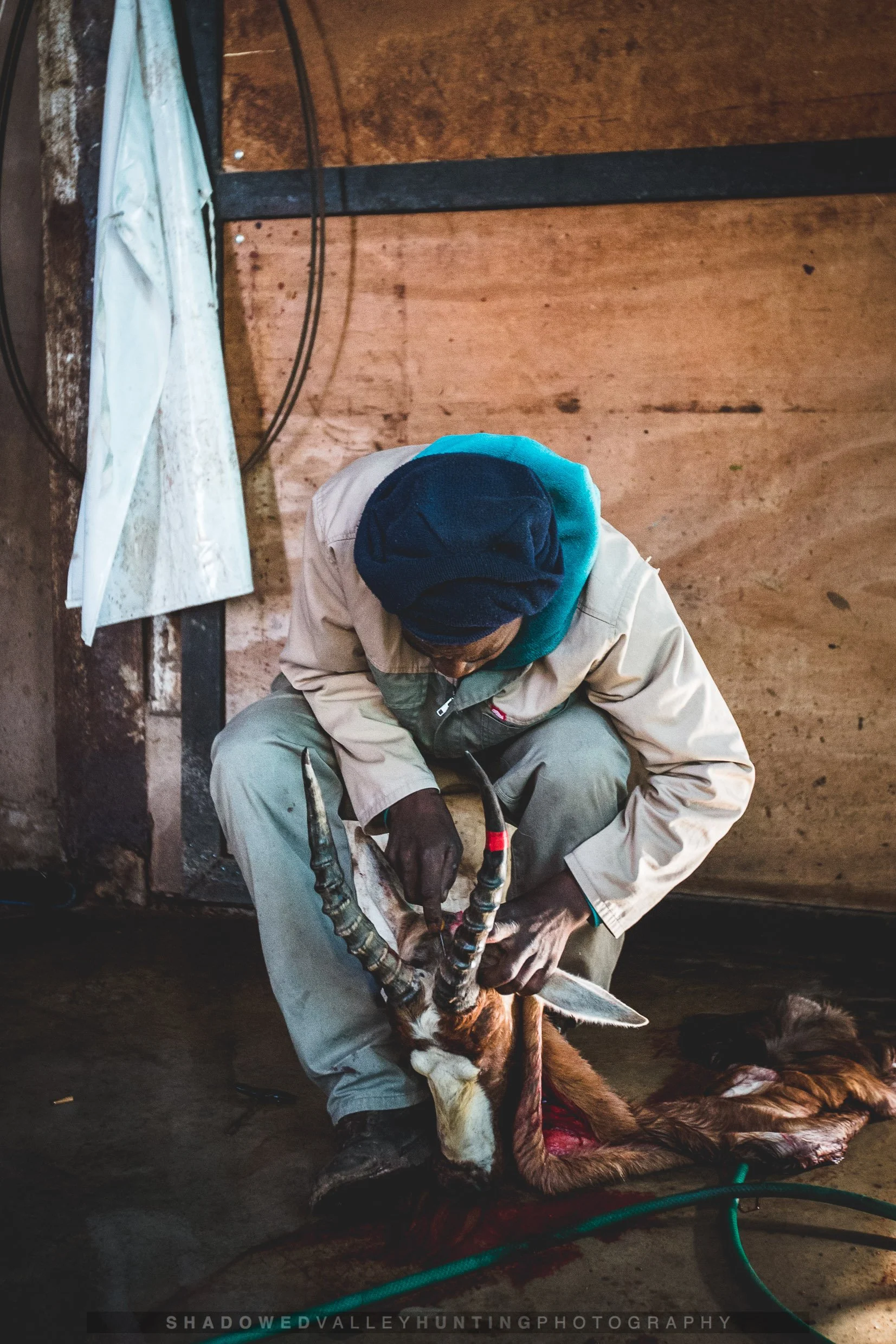 PHUM-1323.jpg