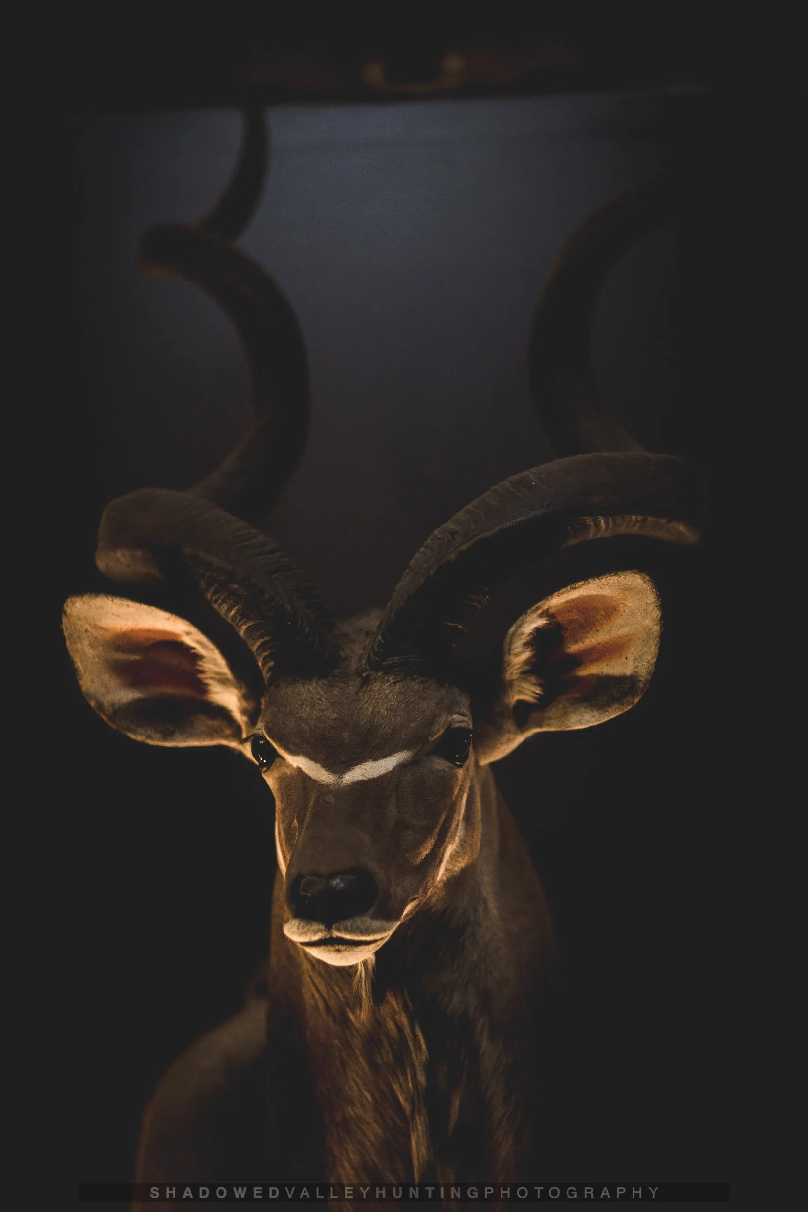4D6A0454.jpg