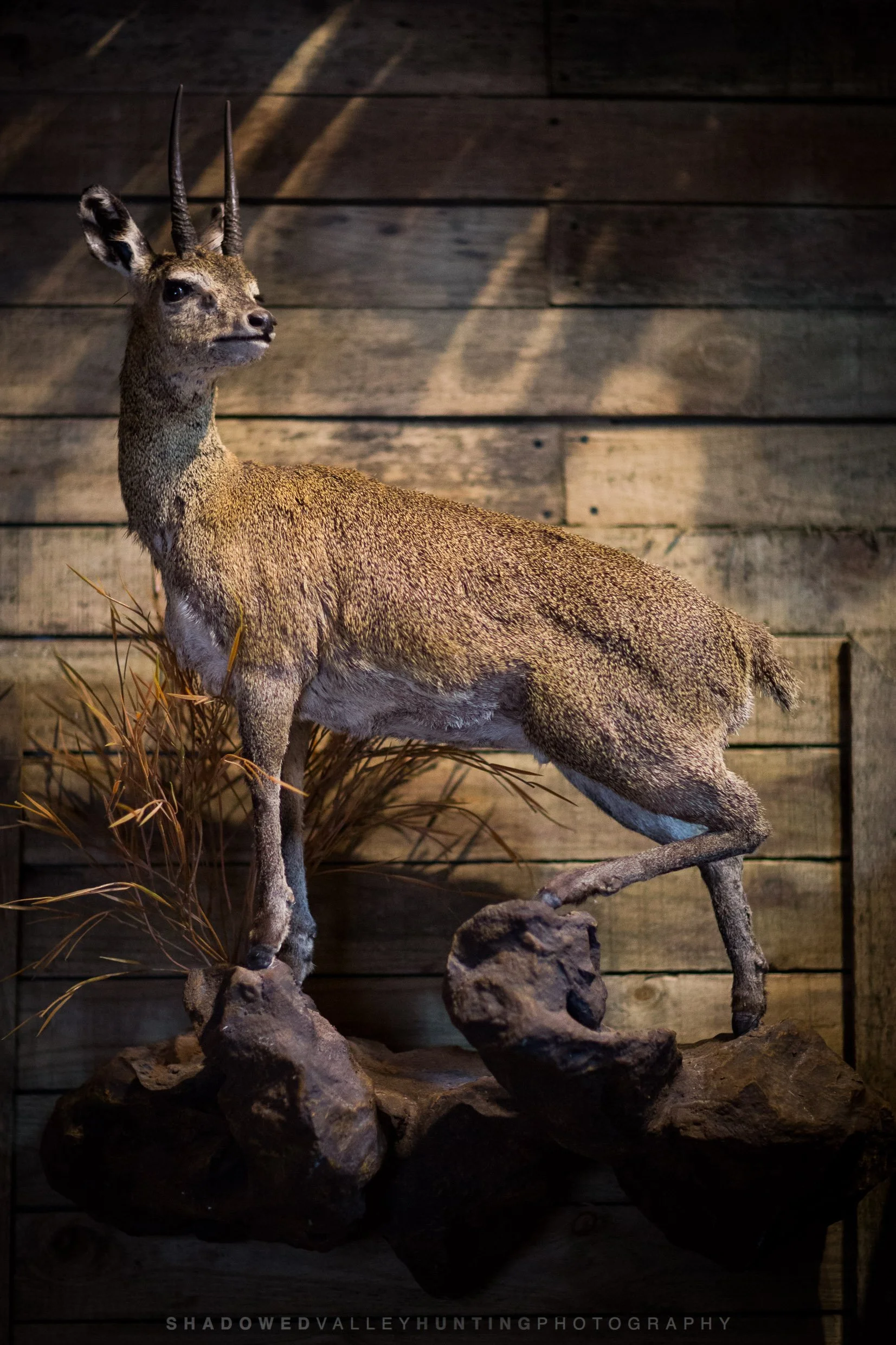 4D6A0479.jpg
