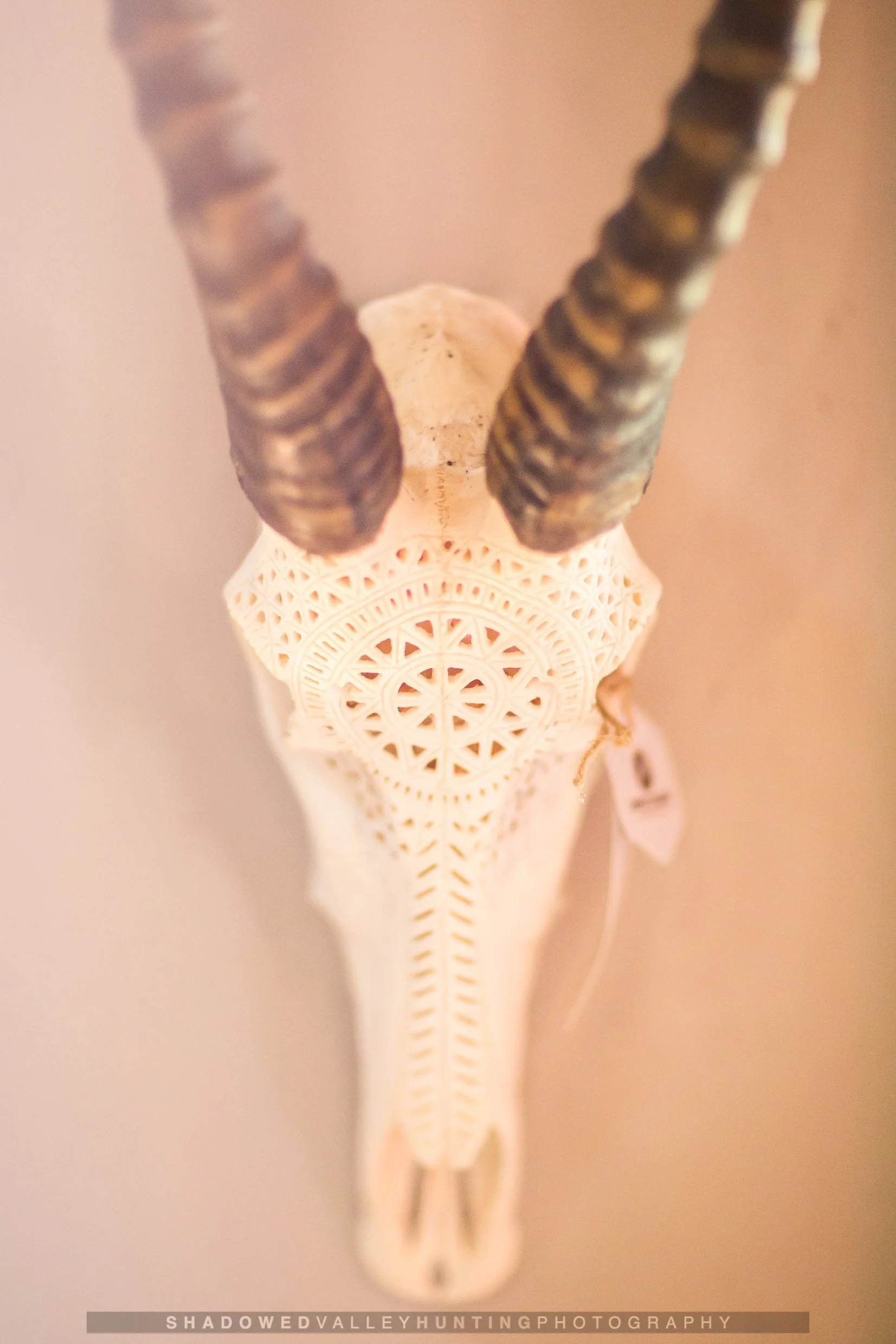 4D6A0498.jpg