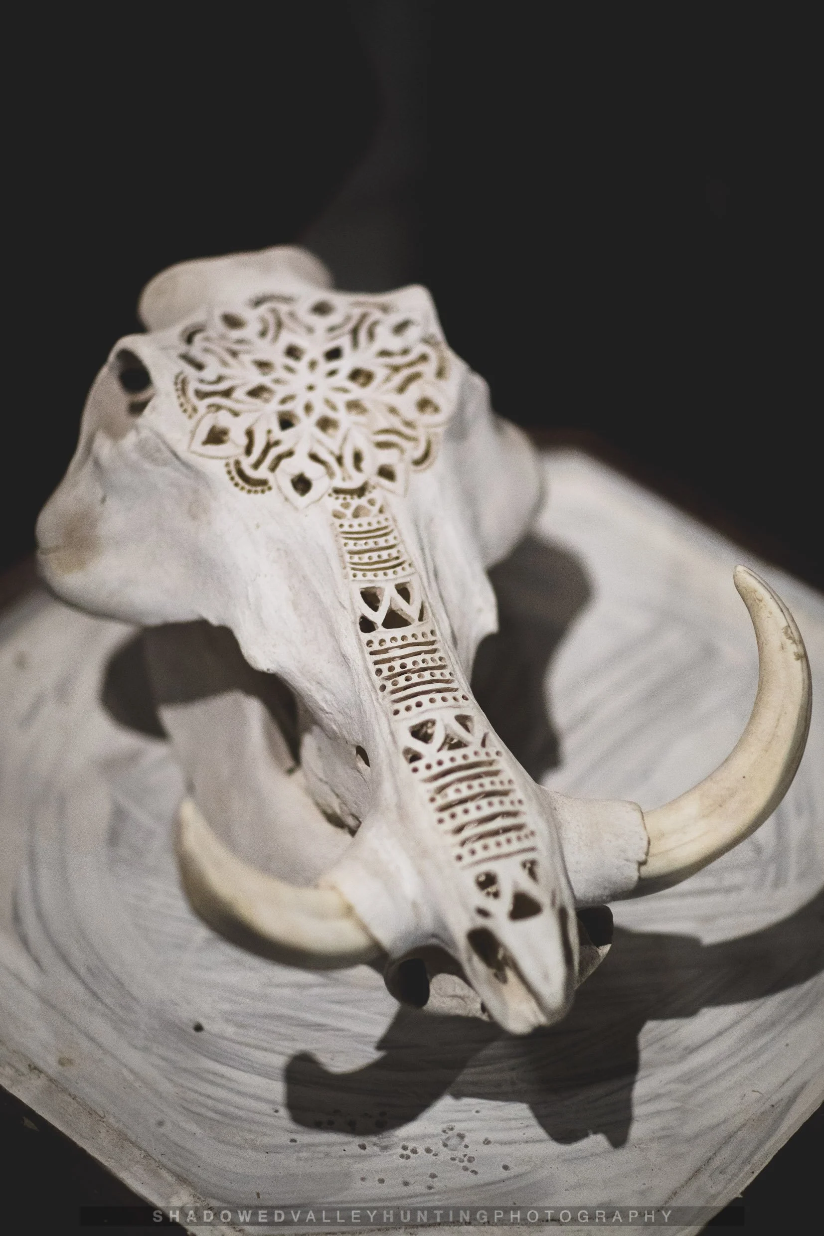 4D6A0211.jpg