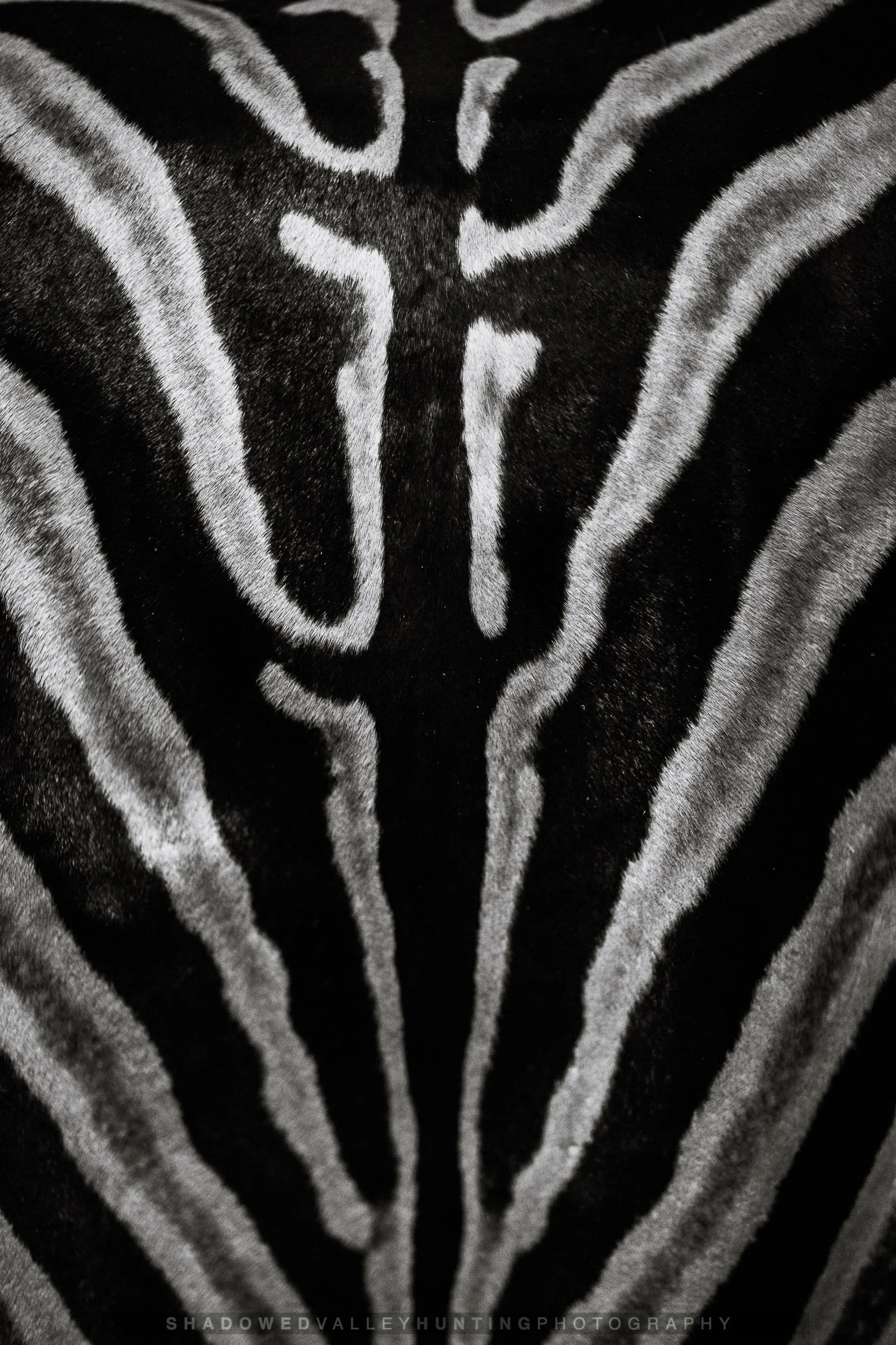 4D6A0336.jpg