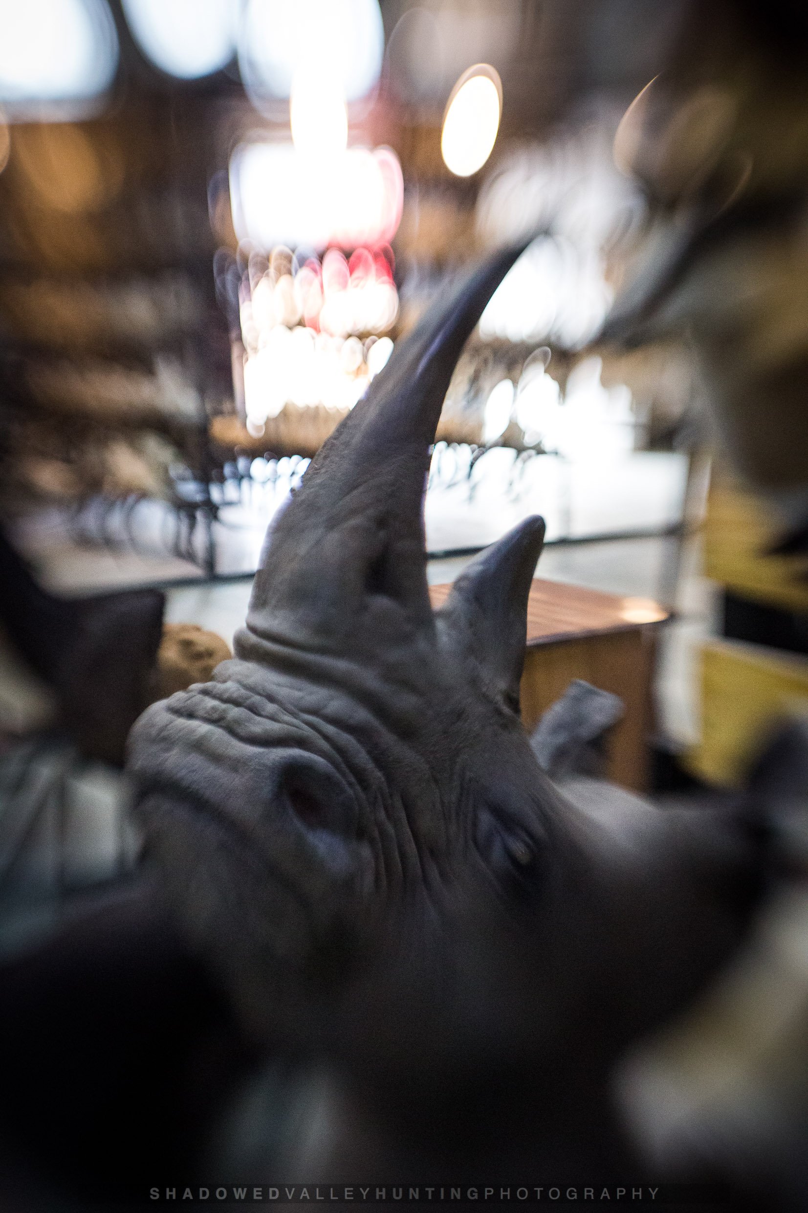 hex38-118.jpg