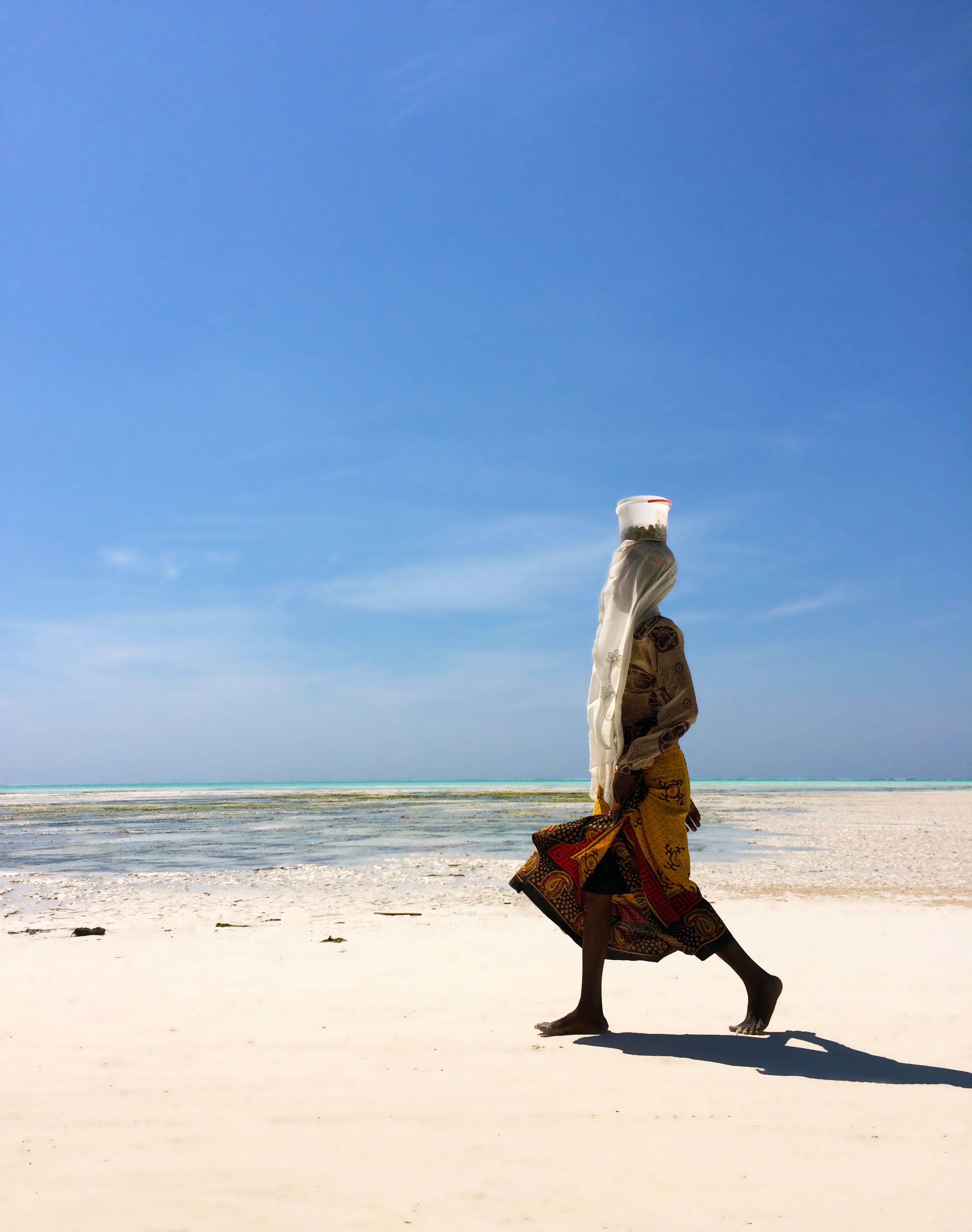  Woman carries her daily catch of mollusks on her head&nbsp;  Jambiani, Zanzibar 