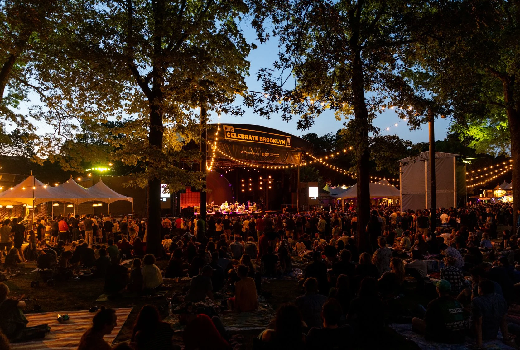 2019 - celebrate brooklyn - crowd site.jpg