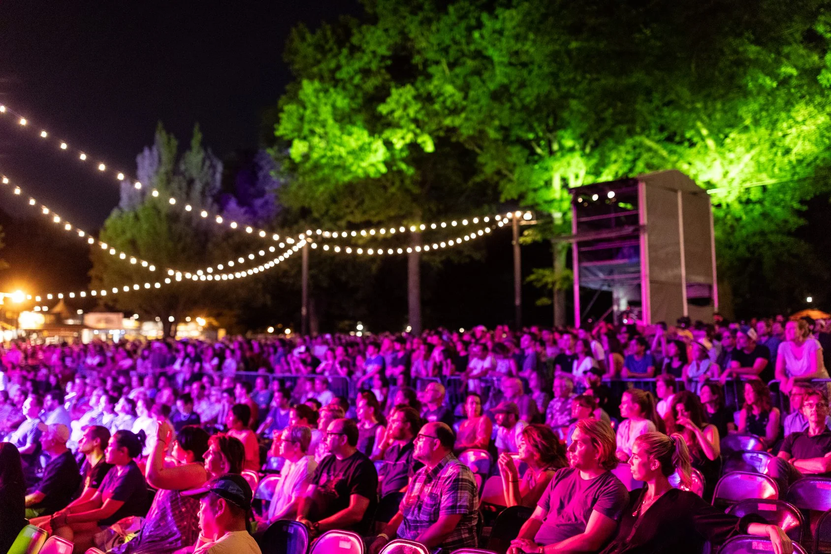 2019 - celebrate brooklyn - crowd foh.jpg