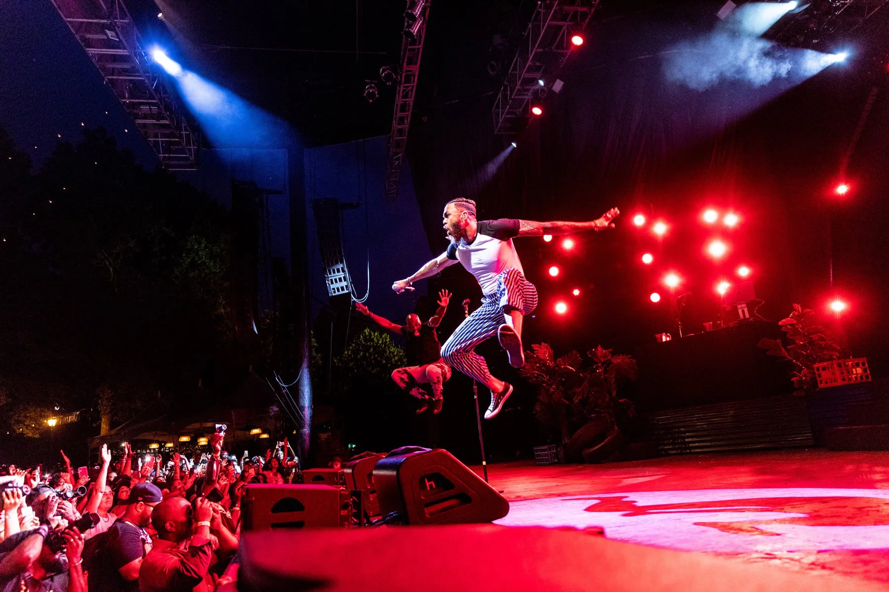 2019 - celebrate brooklyn - jidenna.jpg