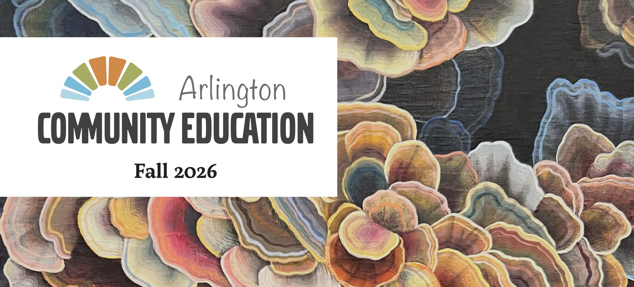 Introduction &amp; Next Steps at Arlington Community Education