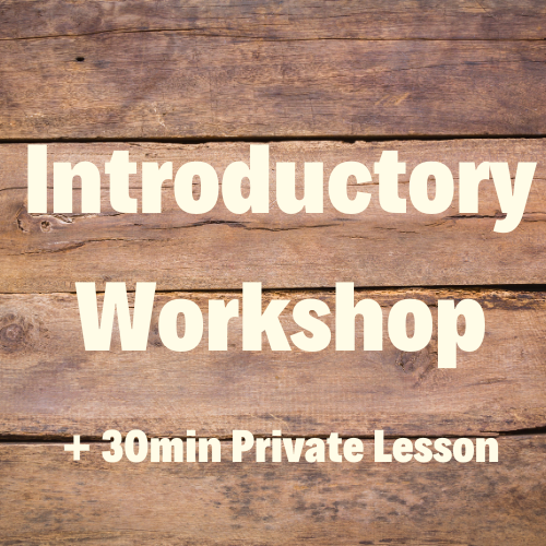 Introductory Workshop + 30min Private Lesson