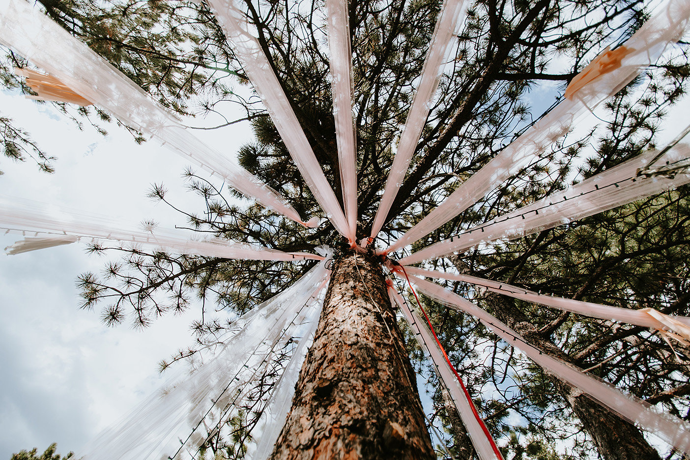 Nederland, Colorado Outdoor Wedding Ceremony