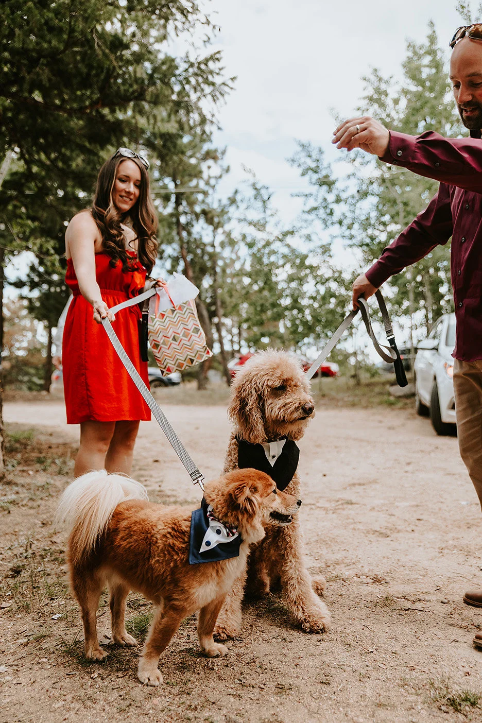 Wedding Dogs from Nederland, Colorado