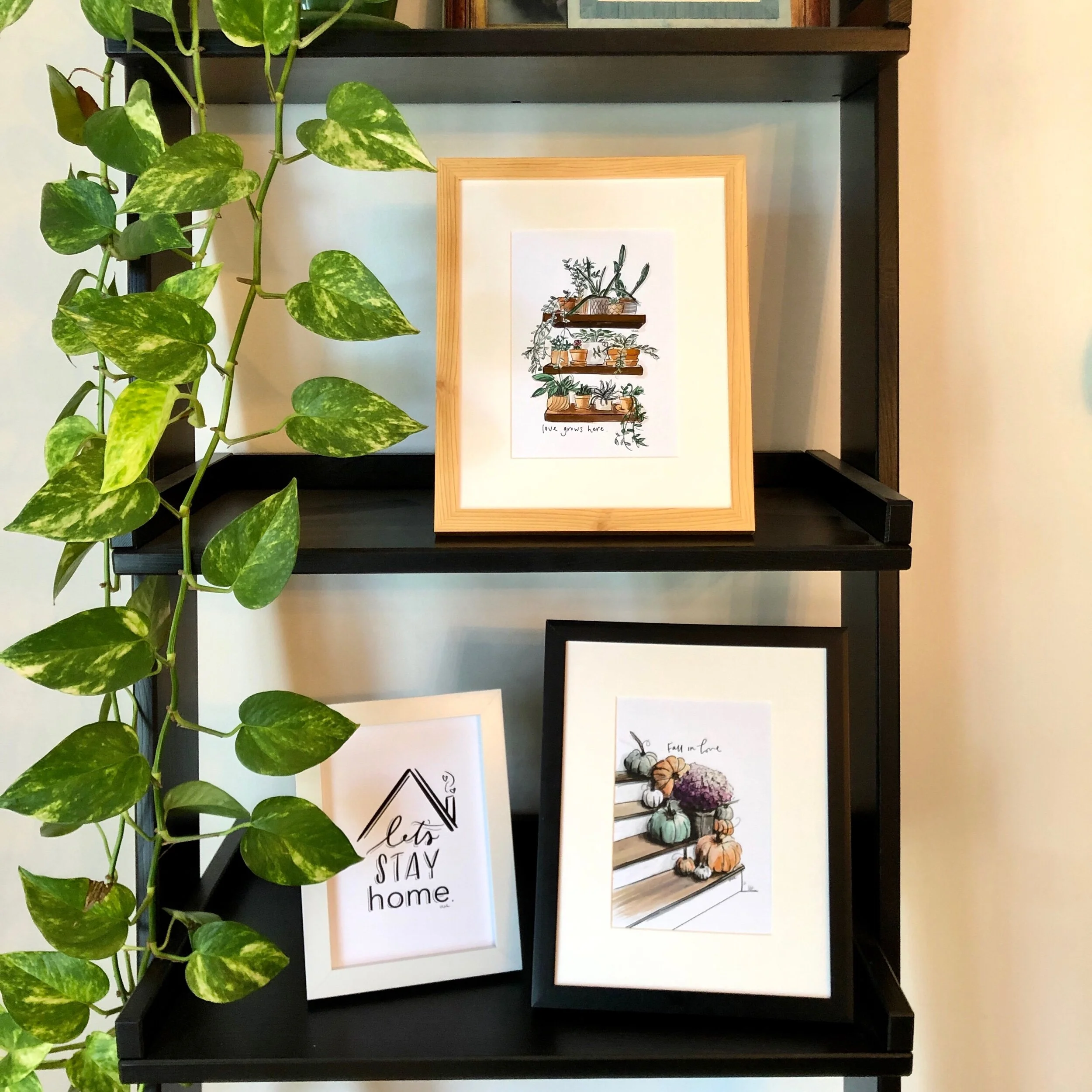 3E50819B-5FB5-4A19-A47A-97883FC3602D