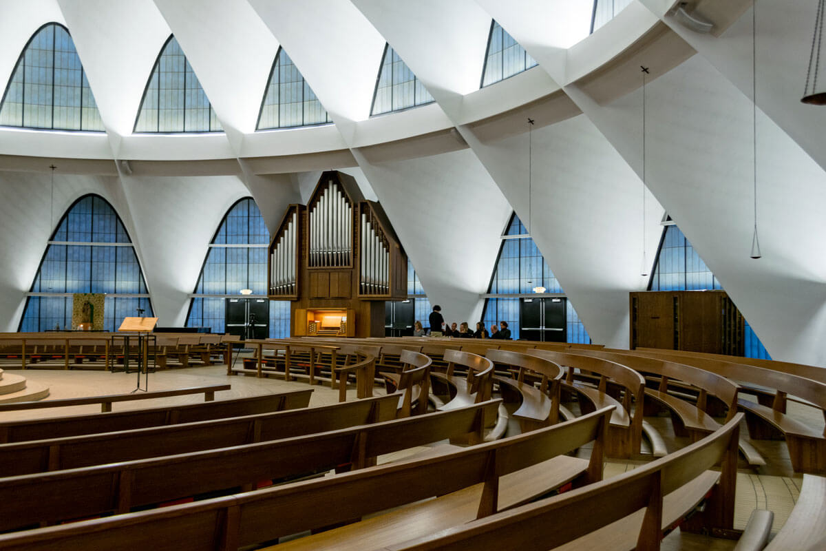 Rene-Zajner-Organ2.jpg