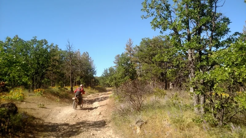 1oak road -small-small.jpg